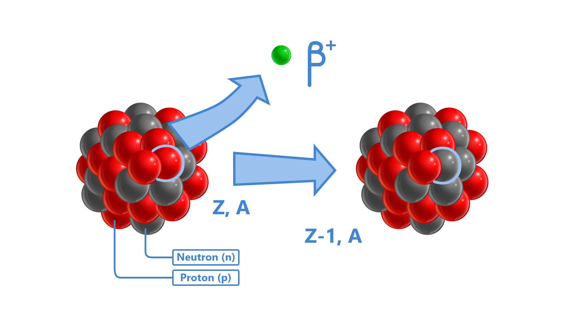 Grafika przedstawia jądro Z, A. Zbudowane jest z szarych i czerwonych kulek. Szare kulki to neutrony (n), czerwone to protony (p). Zakreślono jedną czerwoną kulkę. Biegnie od niej strzałka w górę, strzałka prowadzi do zielonej kulki, obok której jest napis beta plus. Od jądra strzałka w prawo do jądra Z minus 1, A zbudowanego z szarych i czerwonych kulek. W jądrze zakreślono jedną szarą kulkę.