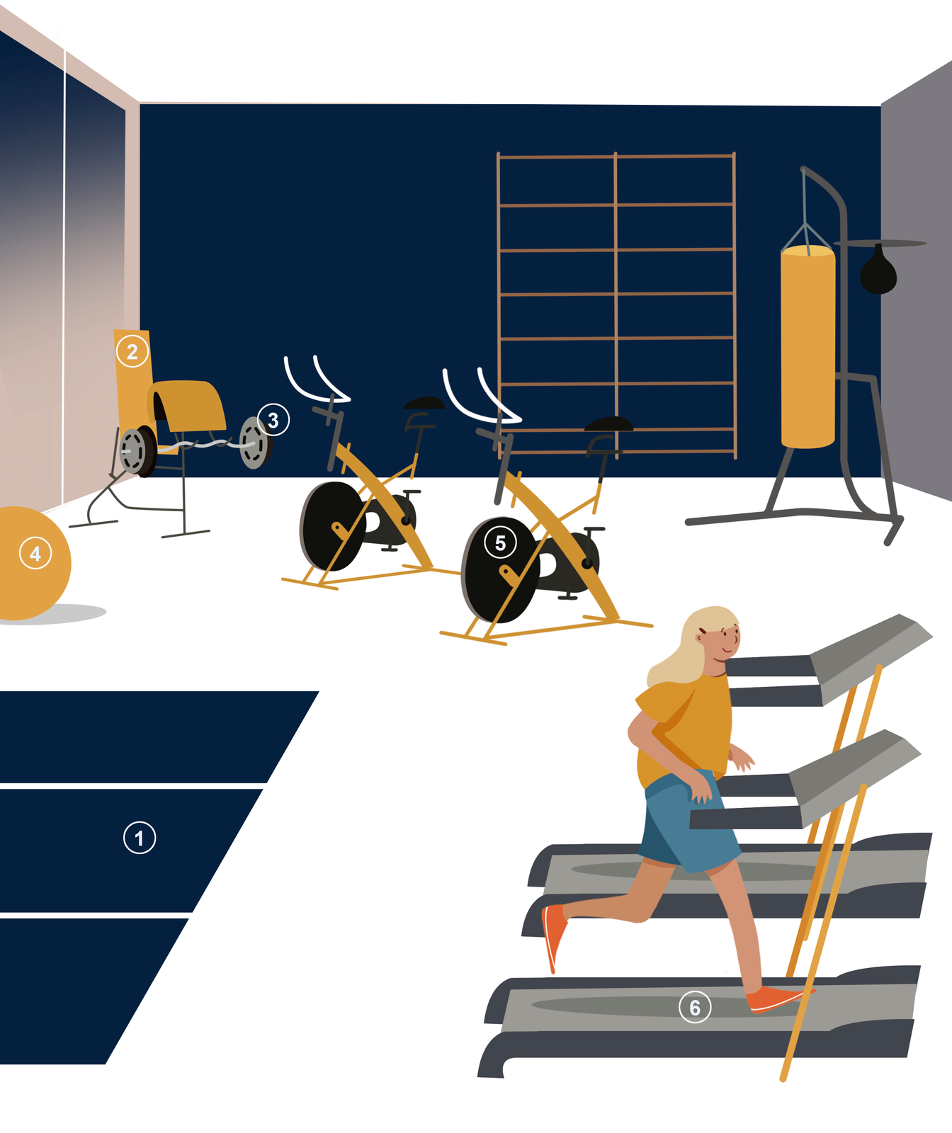 Ilustracja przedstawia siłownię, na której ćwiczy jedna osoba.  Bieżnie i worek treningowy znajdują się pod ścianą z jednej strony pokoju, maty, piłka i sztanga po drugiej. Rowerki stoją po środku.
1. Maty do ćwiczeń
2. Ławeczka treningowa
3. Hantle 
4. Piłki lekarskie
5. rower stacjonarny
6. Bieżnia