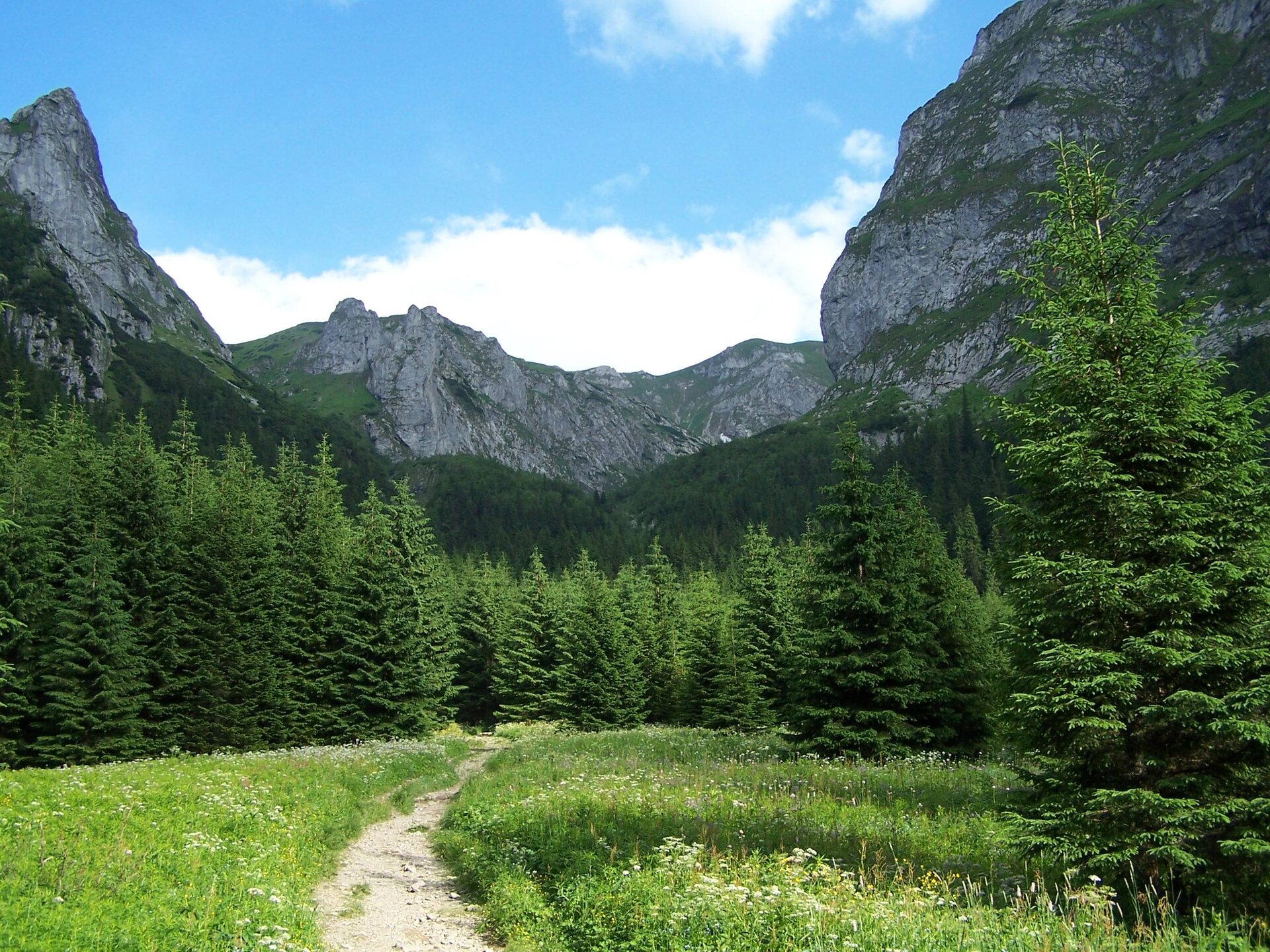 Fotografia. Na pierwszym planie górska polana, pośrodku której biegnie wąska ścieżka złożona z drobnych jasnych kamieni. Na drugim planie linia masywnych drzew iglastych, za którymi znajdują się wysokie górskie szczyty. Ich skały mają ciemnoszary kolor, gdzieniegdzie pokryte niewielką ilością porostów.
