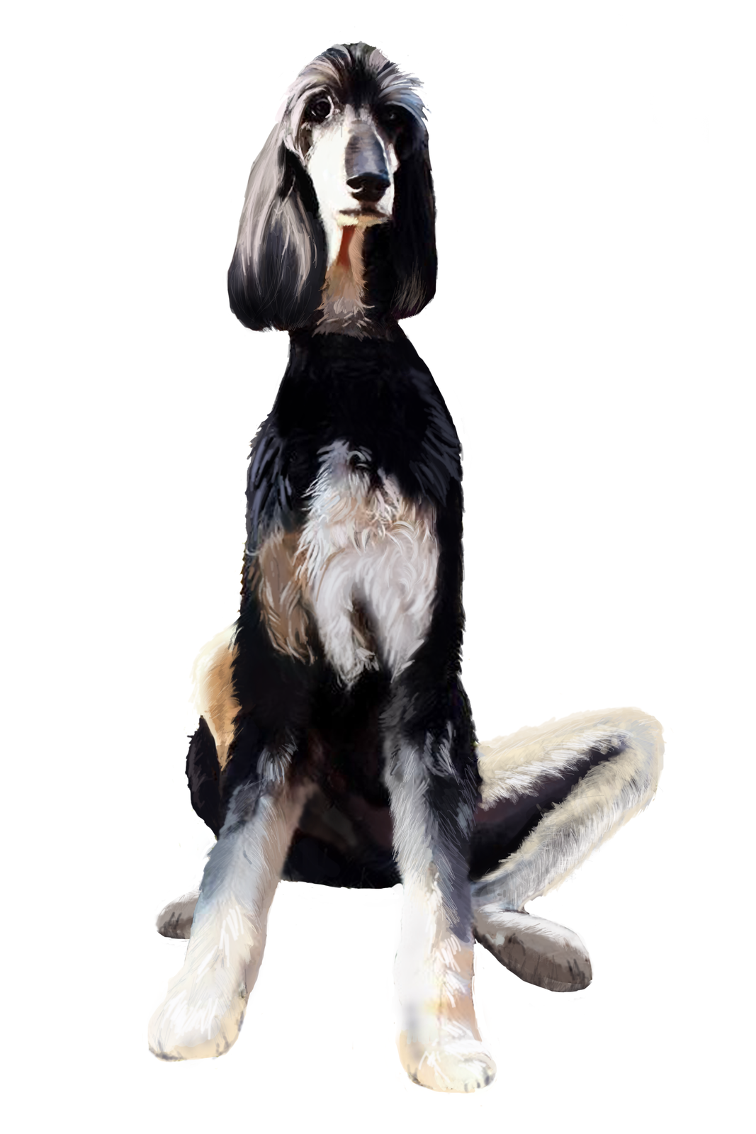 Fotografia przedstawia portret biało czarnego, siedzącego psa. To sklonowany pies o imieniu Snuppy.