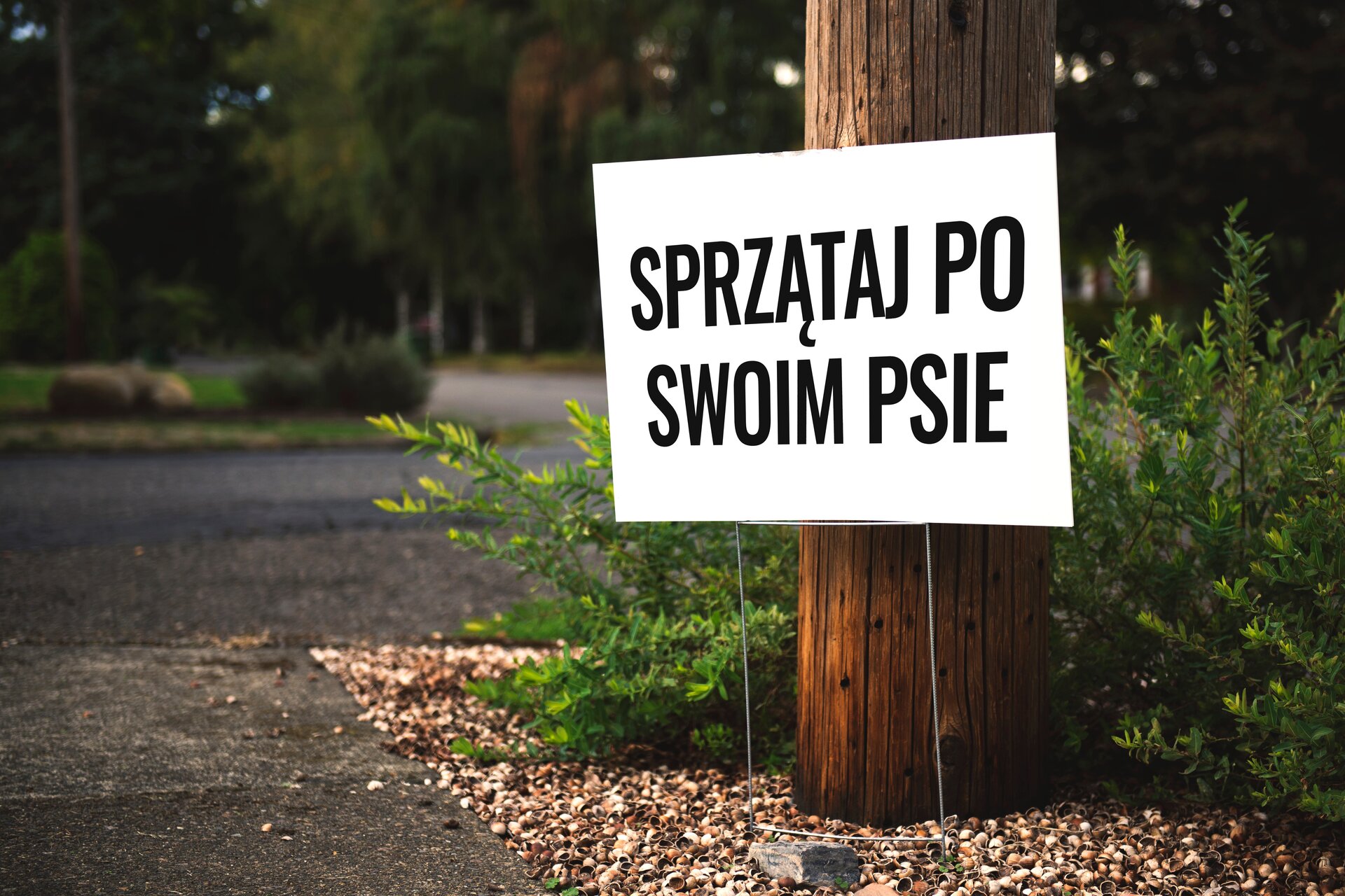 Zdjęcie przedstawia białą tablicę stojącą na skwerze. Na tablicy napis: Sprzątaj po swoim psie. Tablica stoi przy drewnianym pniu. W tle są niskie zielone krzewy i drzewa. 