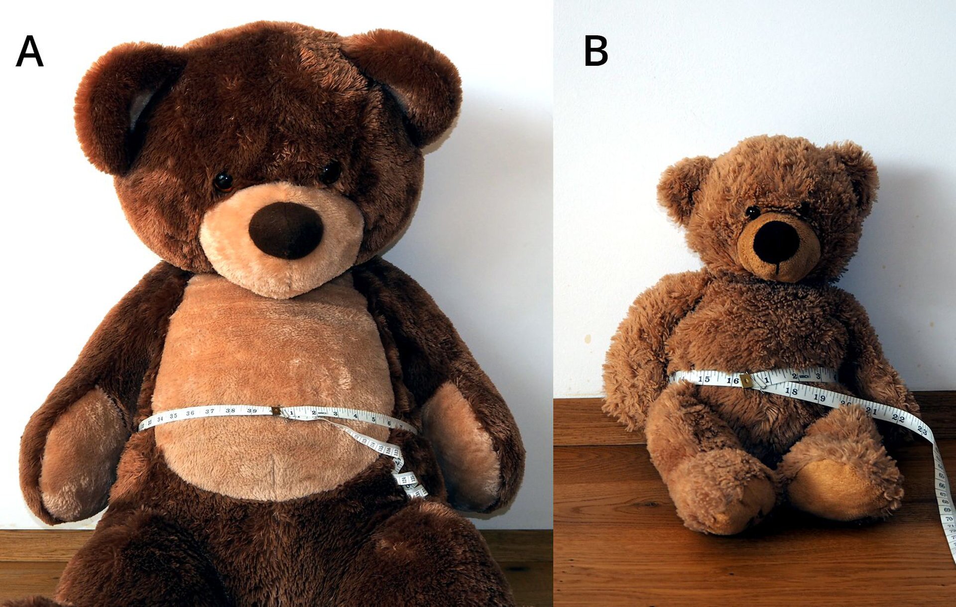 Zdjęcie poglądowe przedstawia dwa misie. Po lewej na zdjęciu A jest duży miś, który na obwodzie ma założony centymetr, po prawej na zdjęciu B jest mały miś, który również ma na brzuchu założony centymetr.