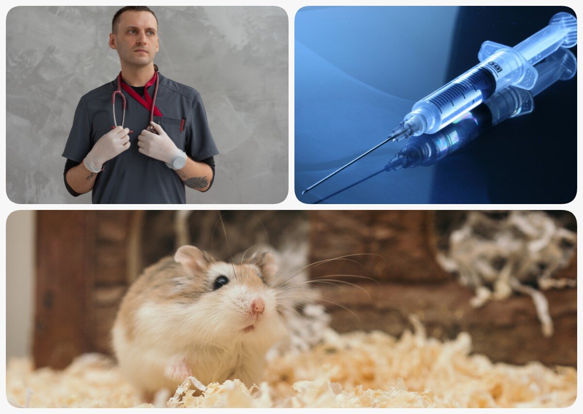 Ćwiczenie alternatywne wyświetla się w trybie dostępności.