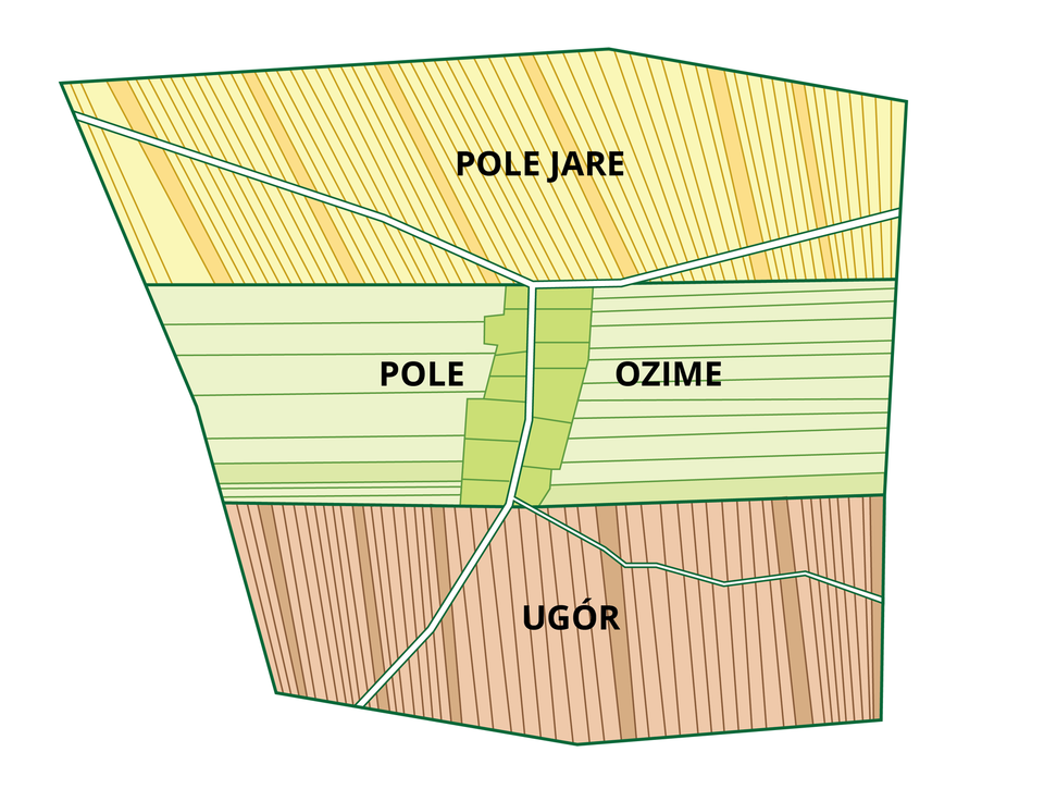 Schemat przedstawia sposób uprawy roli zwany trójpolówką. Pole jest podzielone na trzy części. Żółte pole jare w górnej części schematu, pod nim jest zielone pole ozime, a pod polem ozimym ugór - namalowany kolorem brązowym.
