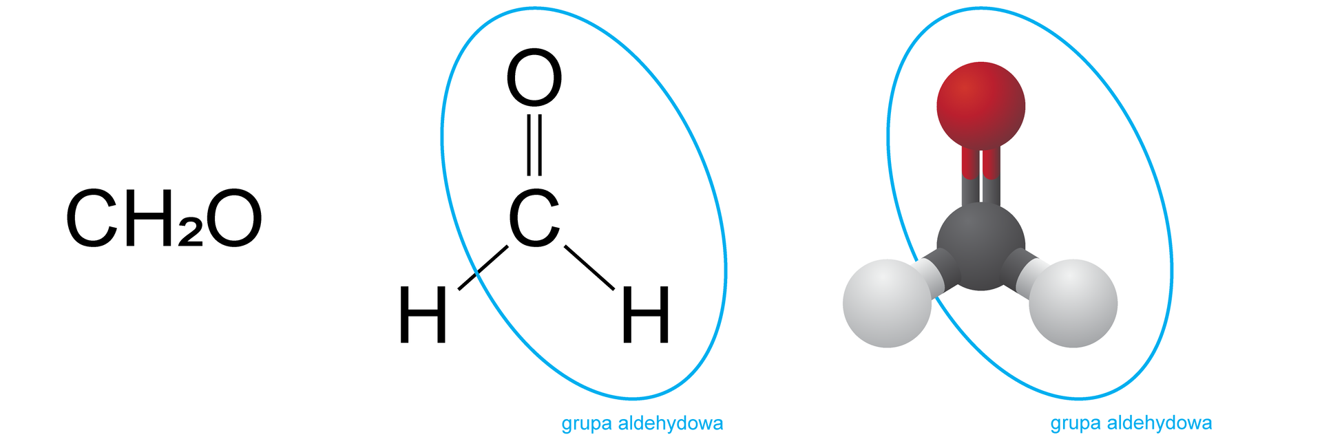 Na ilustracji jest wzór sumaryczny metanalu C H 2 O . Obok jest wzór strukturalny zbudowany z atomu węgla połączonego u góry wiązaniem podwójnym z atomem tlenu, a na dole po lewej i prawej stronie z atomem wodoru. Grupę COH (z wodorem po prawej stronie) zaznaczono jako grupę aldehydową. Następnie na ilustracji jest model cząsteczki metanalu - jedna czarna kulka łączy się u góry wiązaniem podwójnym z czerwoną kulką, na na dole z dwiema białymi kulkami. Zakreślono czarną, czerwoną i białą kulkę (po prawej stronie modelu) - to grupa aldehydowa.