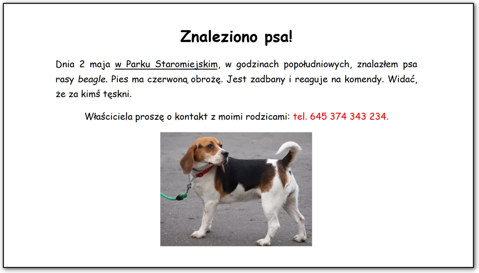 Zrzut ekranu przedstawiający przykładowe ogłoszenie o zaginięciu psa ze wstawionym zdjęciem psa. Treść ogłoszenia brzmi. Znaleziono psa! Dnia 2 maja w Parku Staromiejskim w godzinach popołudniowych, znalazłem psa rasy beagle. Pies ma czerwoną obrożę. Jest zadbany i reaguje na komendy. Widać, że za kimś tęskni. Właściciela proszę o kontakt z moimi rodzicami: tel. 645 374 343 234.