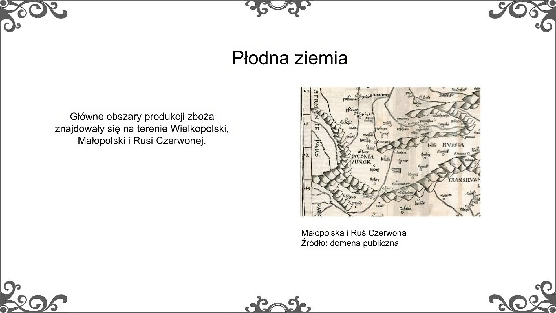 Slajd zatytułowano: Płodna ziemia. Poniżej znajduje się ilustracja mapy, na której przedstawione zostały Małopolska i Ruś Czerwona. Mapa jest czarnobiała i w sposób schematyczny ukazuje rozmieszczenie łańcuchów górskich oraz miast. Nazwy na mapie podane zostały w języku łacińskim. Ilustrację podpisano: Małopolska i Ruś Czerwona. Po lewej stornie ilustracji znajduje się napis: Główne obszary produkcji zboża znajdowały się na terenie Wielkopolski, Małopolski i Rusi Czerwonej. 