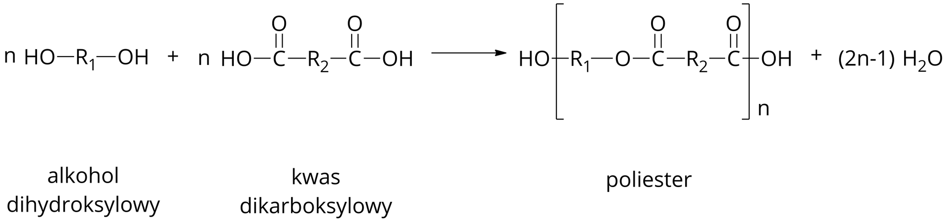 Ilustracja przedstawiająca schemat reakcji polikondensacji. N cząsteczek alkoholu dihydroksylowego o stukturze grupa R1 związana z dwiema grupami hydroksylowymi OH, dodać n cząsteczek kwasu dikarboksylowego o strukturze grupa R2 związana z dwiema grupami COOH. Strzałka w prawo, za strzałką w nawiasie kwadratowym poliester o strukturze grupa R1, od której jedno z wiązań odchodzi poza nawias, zaś drugie łączy ją z atomem tlenu związanym z atomem węgla połączonym za pomocą wiązania podwójnego z atomem tlenu oraz za pomocą wiązania pojedynczego z grupą R2. Grupa R2 związana jest z węglem, którego jedno z wiązań wychodzi poza nawias, zaś atom ten łączy się za pomocą wiązania podwójnego z atomem tlenu. Względem nawiasu kwadratowego w indeksie dolnym znajduje się litera n. Dodać dwa n minus jeden cząsteczek wody.