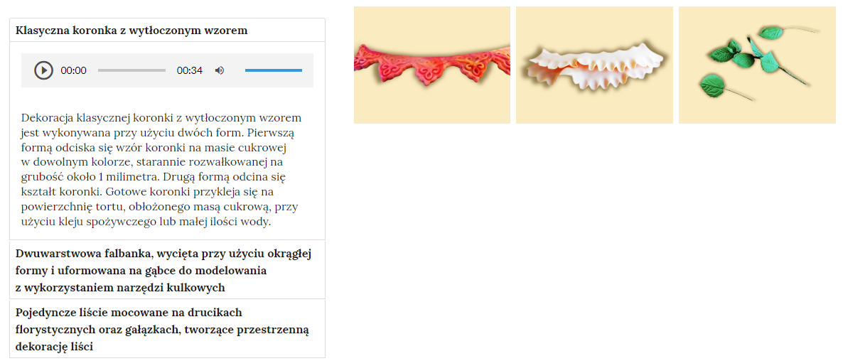 Grafika przedstawia widok galerii zdjęć z zdjęciami umieszczonymi po prawej stronie i treścią przypisaną do galerii po lewej stronie. 