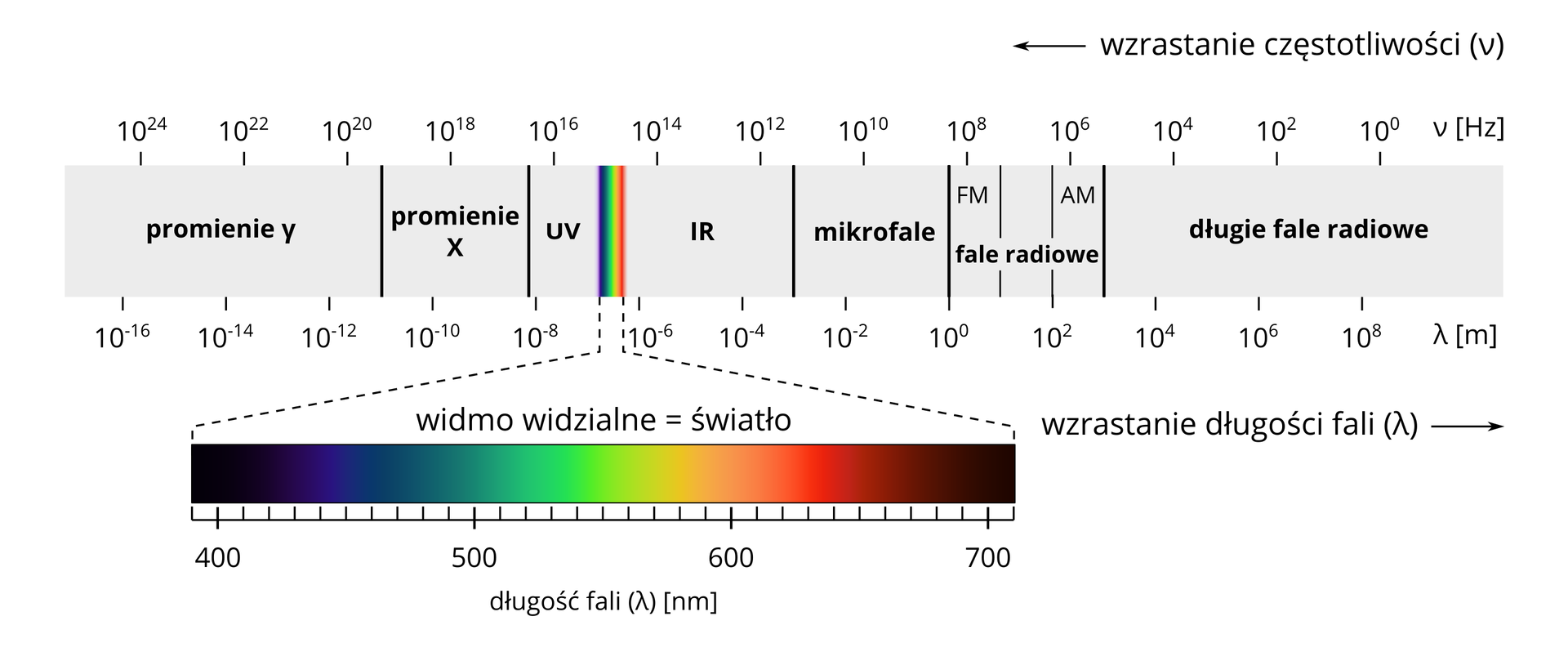 Ilustracja przedstawia spektrum fal elektromagnetycznych. Na białym tle narysowano szary prostokąt, szeroki w poziomie i względnie wąski w pionie, podzielony na przedziały różnych zakresów widma promieniowania elektromagnetycznego, od lewej: promieniowanie gamma, promieniowanie iks, UV (ultrafiolet), światło widzialne (jedyny kolorowy fragment widma, ponieważ w tym zakresie każdej długości fali, czy też częstotliwości, możemy przypisać, jaki kolor widzimy), IR (poczerwień), mikrofale, fale radiowe, długie fale radiowe. Na górnej krawędzi prostokąta zaznaczono podziałkę częstotliwości (jednostka herc), na dolnej - długości fali (jednostka metr). Częstotliwość wzrasta w lewo, od dziesięć do potęgi zerowej herców, co dziesięć do drugiej, aż do dziesięć do dwudziestej czwartej herców. Długość fali wzrasta w prawo, od dziesięć do minus szesnastej metra, co dziesięć do drugiej, do dziesięć do ósmej metrów. Poniżej przedstawiony został w powiększeniu fragment widma odpowiadający widmu widzalnemu (światłu). Podziałka pod kolorowym pasem ma zakres od trzystu dziewięćdziesięciu nanometrów do siedmiuset dziesięciu nanometrów. Kolory przechodzą od fioletowego, przez granatowy, zielony, żółty po czerwony.