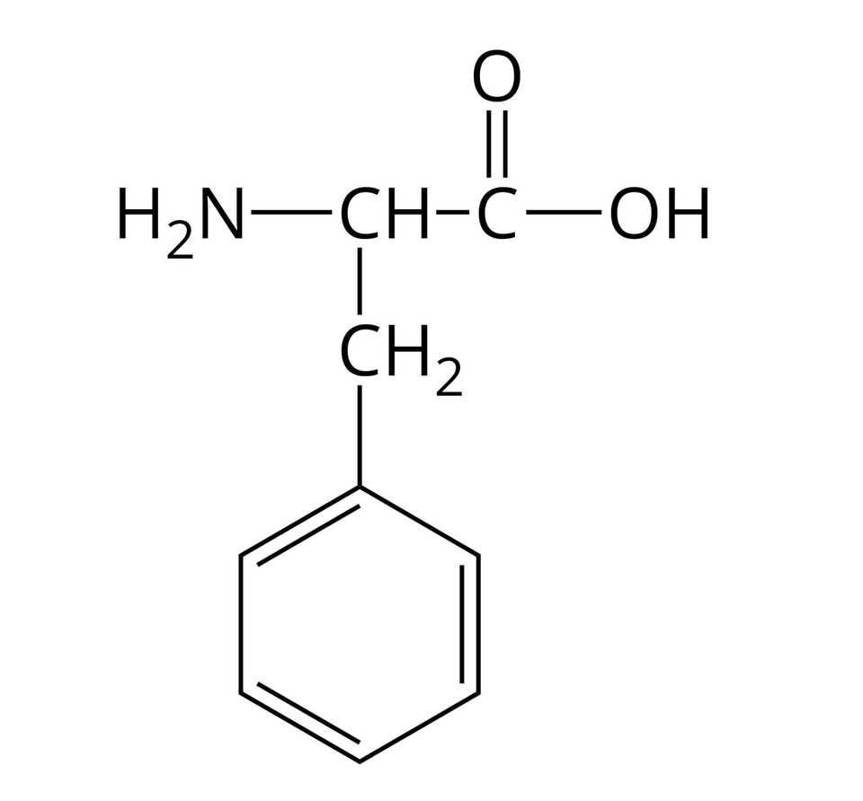 Wzór półstrukturalny fenyloalaniny. Do grupy H indeks dolny, dwa, koniec indeksu dolnego, N z prawej strony przyłączona jest grupa C H. Od niej odchodzą dwa wiązania pojedyncze. Pierwsze skierowane jest w prawo do atomu węgla. Od niego odchodzą dwa wiązania: podwójne w górę, prowadzące do atomu tlenu i pojedyncze w prawo do grupy O H. Drugie wiązanie odchodzące od grupy C H skierowane jest w dół i łączy się z grupą C H indeks dolny, dwa, koniec indeksu dolnego, od której odchodzi pojedyncze wiązanie w dół do cząsteczki benzenu. Zbudowana jest ona z sześciu atomów węgla, które znajdują się w wierzchołkach sześciokąta foremnego. Dodatkowo każdy z atomów węgla jest połączony z atomem wodoru.
