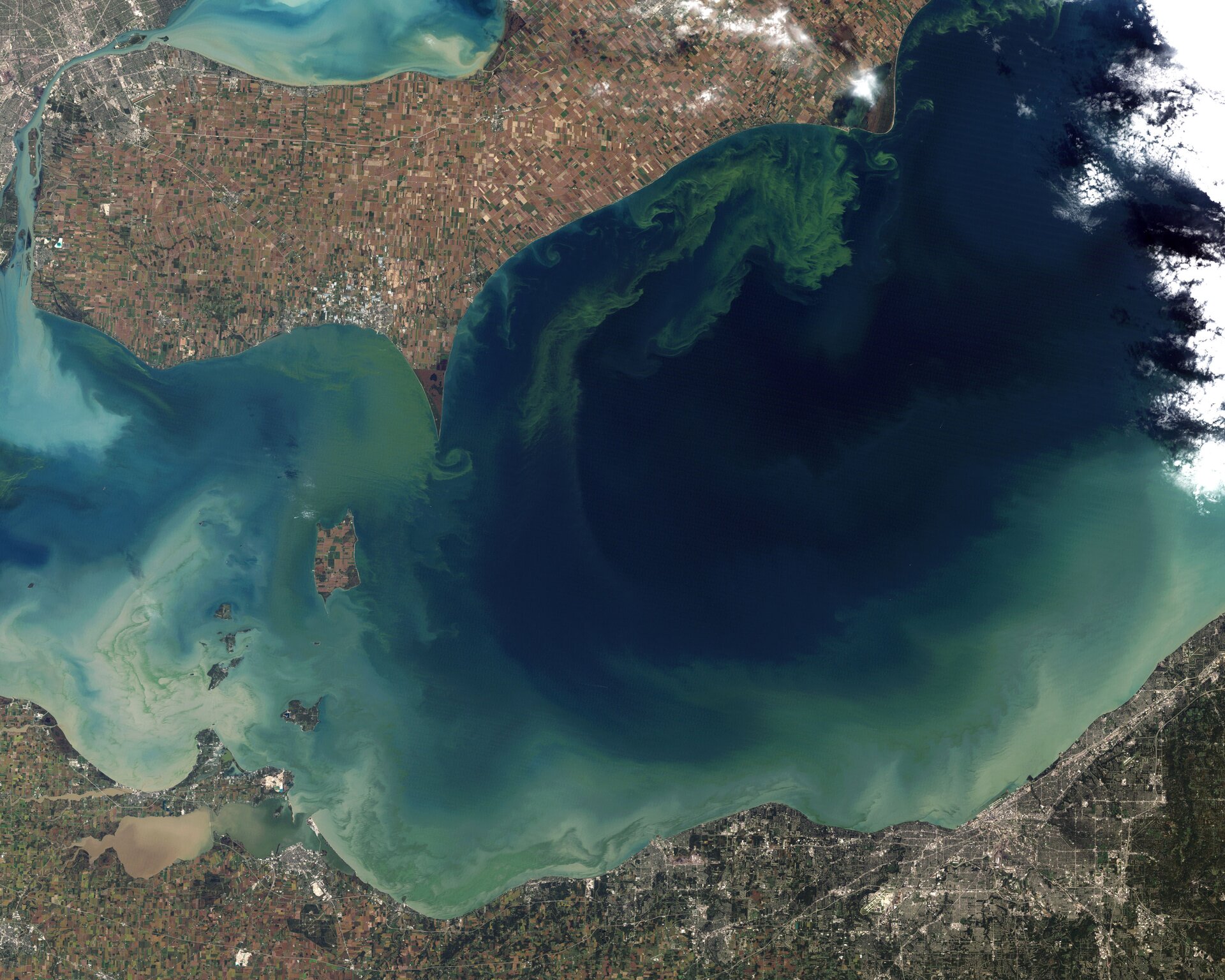 Zdjęcie satelitarne przedstawia podłużne jezioro, o błękitnej wodzie. Na jego powierzchni można zauważyć zielony zakwit pokrywający większość jego powierzchni. 