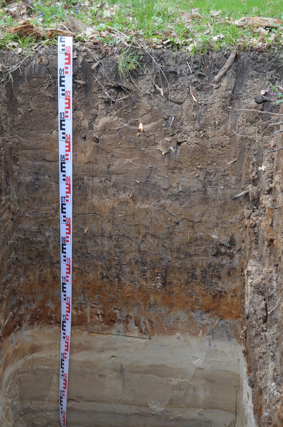 Na zdjęciu pokazano profil glebowy mady. Od góry znajduje się warstwa czarna. Pod nią warstwy mają niezbyt wyraźne granice,. Ziemia brązowa miesza się tu z czarną, a nawet nosi ślady czarnych żyłek. Ponadto znaleźć tu można rdzawe plamy. Niżej znajduje się już wyraźniejsza rdzawa warstwa. Pod nią warstwa biała i jasnobrązowa, wręcz kremowa.