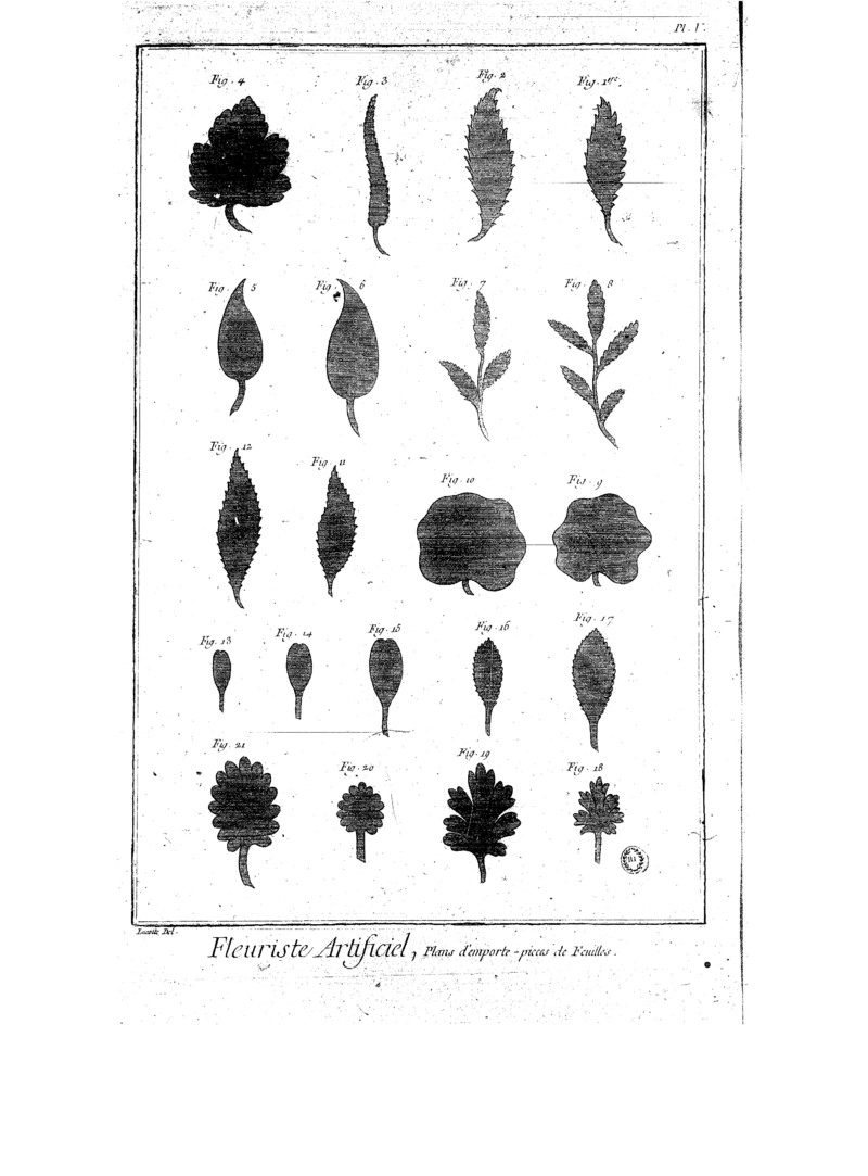 Ilustracja przedstawia sześć rzędów różnych liści.