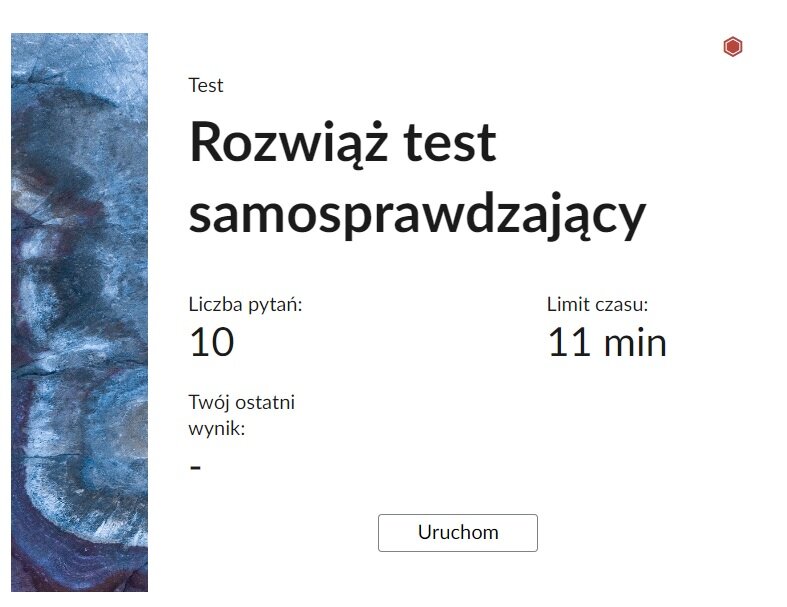 Grafika przedstawia przykładowy ekran początkowy testu samosprawdzającego.
