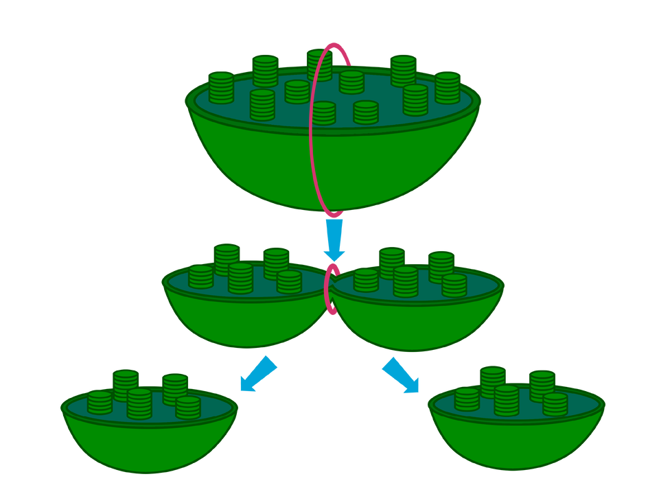 Ilustracja przedstawia schemat powstawania chloroplastów. Nowe chloroplasty powstają w wyniku podziału już istniejących. W chloroplaście najpierw tworzy się przewężenie, a następnie dochodzi do jego podziału na dwa chloroplasty potomne.