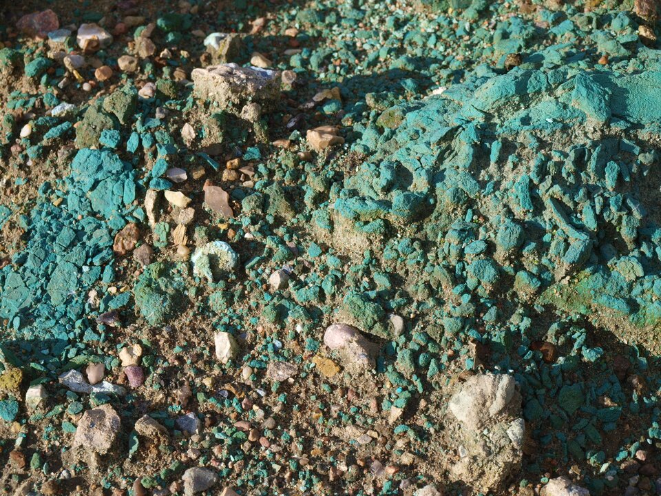 Zdjęcie przedstawia powierzchnię gleby, na której leżą liczne drobne kamienie. Większość kamieni pokryta jest niebieskim nalotem. 