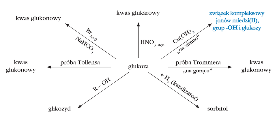 Ilustracja przedstawiająca różne reakcje chemiczne, w których glukoza pełni rolę substratu. Glukoza znajduje się w centrum schematu od niej poprowadzone są strzałki, nad którymi zapisano odczynniki, zaś za strzałkami produkty poszczególnych reakcji. Pierwsza reakcja. Nad strzałką wzór ogólny alkoholu ROH, za strzałką produkt reakcji, to jest glikozyd. Druga reakcja. Nad strzałką zapis próba Tollensa, za strzałką produkt reakcji kwas glukonowy. Trzecia reakcja. Nad strzałką wodny roztwór bromu B r indeks dolny, dwa nawias, aq, zamknięcie nawiasu, koniec indeksu dolnego oraz wodorowęglan sodu N a H C O indeks dolny, trzy, koniec indeksu dolnego, za strzałką kwas glukonowy. Czwarta reakcja. Nad strzałką stężony kwas azotowy H N O indeks dolny, trzy nawias, stęż., zamknięcie nawiasu, koniec indeksu dolnego, za strzałką kwas glukarowy. Piąta reakcja. Nad strzałką wodorotlenek miedzi(dwa) C u nawias, O H, zamknięcie nawiasu, indeks dolny, dwa, koniec indeksu dolnego oraz zapis "na zimno", za strzałką związek kompleksowy jonów miedzi(dwa) z grupami O H glukozy. Szósta reakcja. Nad strzałką zapis "próba Trommera" oraz  "na gorąco", za strzałką kwas glukonowy. Siódma reakcja. Nad strzałką cząsteczka wodoru H indeks dolny, dwa, koniec indeksu dolnego oraz katalizator, za strzałką cząsteczka sorbitolu. 