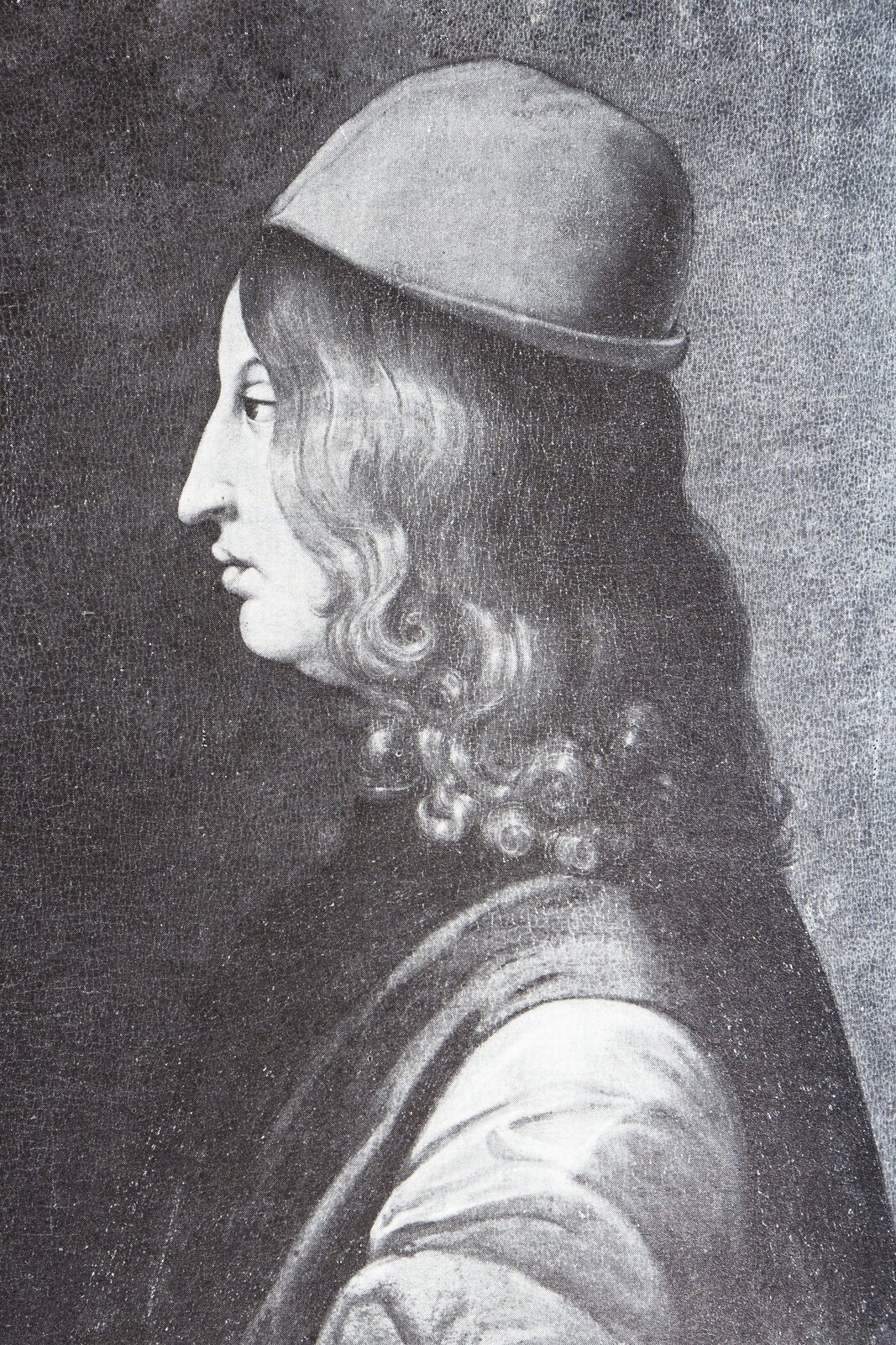 Czarno-biały portret nieznanego autora przedstawia wizerunek filozofa Gianfrancesco Pico della Mirandoli – młodego mężczyzny o długich jasnych włosach. Portret został wykonany z profilu. Na głowie ma czapkę.