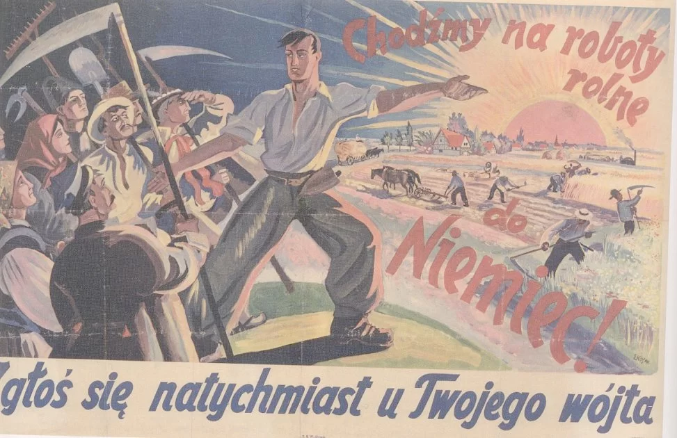 Kliknij, aby powiększyć Po lewej stronie plakatu znajdują się chłopi i chłopki. Stoją z kosami, grabiami i łopatami i wpatrują się w mężczyzną w koszuli i szerokich spodniach, który wskazuje im pole po prawej stronie plakatu. Na polu pracują chłopi, orząc pole przy pomocy konia i orki, ścinają słomę kosami. W tle domy, traktor i duże słońce, które błyska promieniami. Napisy na plakacie: Chodźmy na roboty rolne do Niemiec. Zgłoś się natychmiast u Twojego wójta.