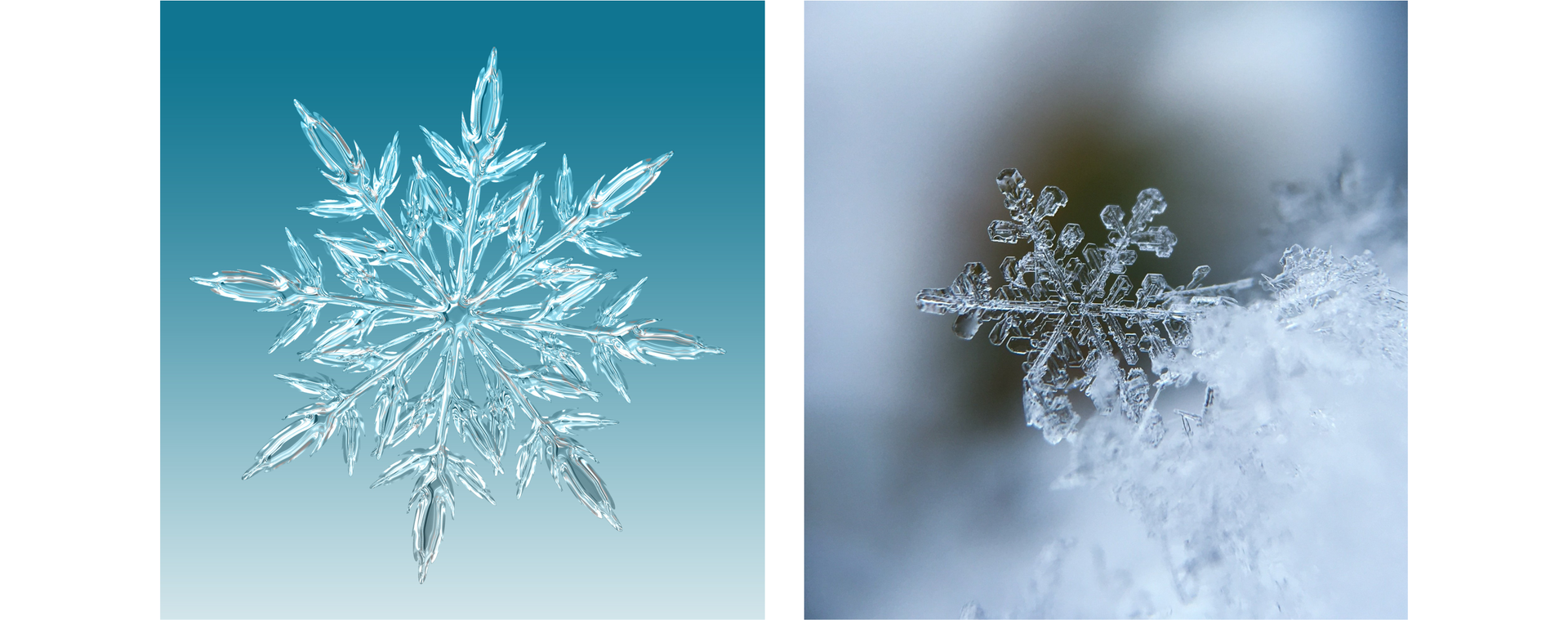Na ilustracji przedstawiono dwa zdjęcia. Na obu widoczny jest płatek śniegu. Są przeźroczyste, oraz symetryczne.