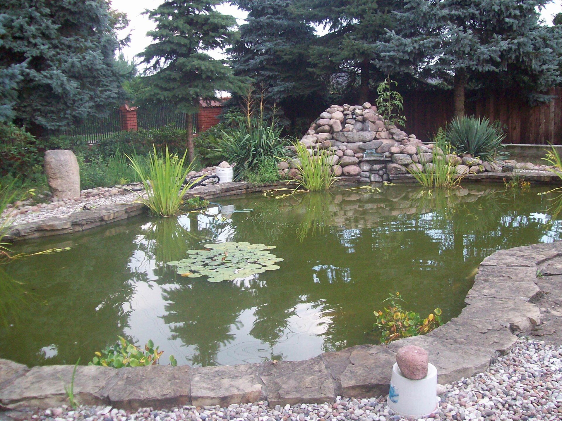 Zdjęcie przedstawia niewielki zbiornik wodny otoczony kamieniami znajdującymi się w ogrodzie.