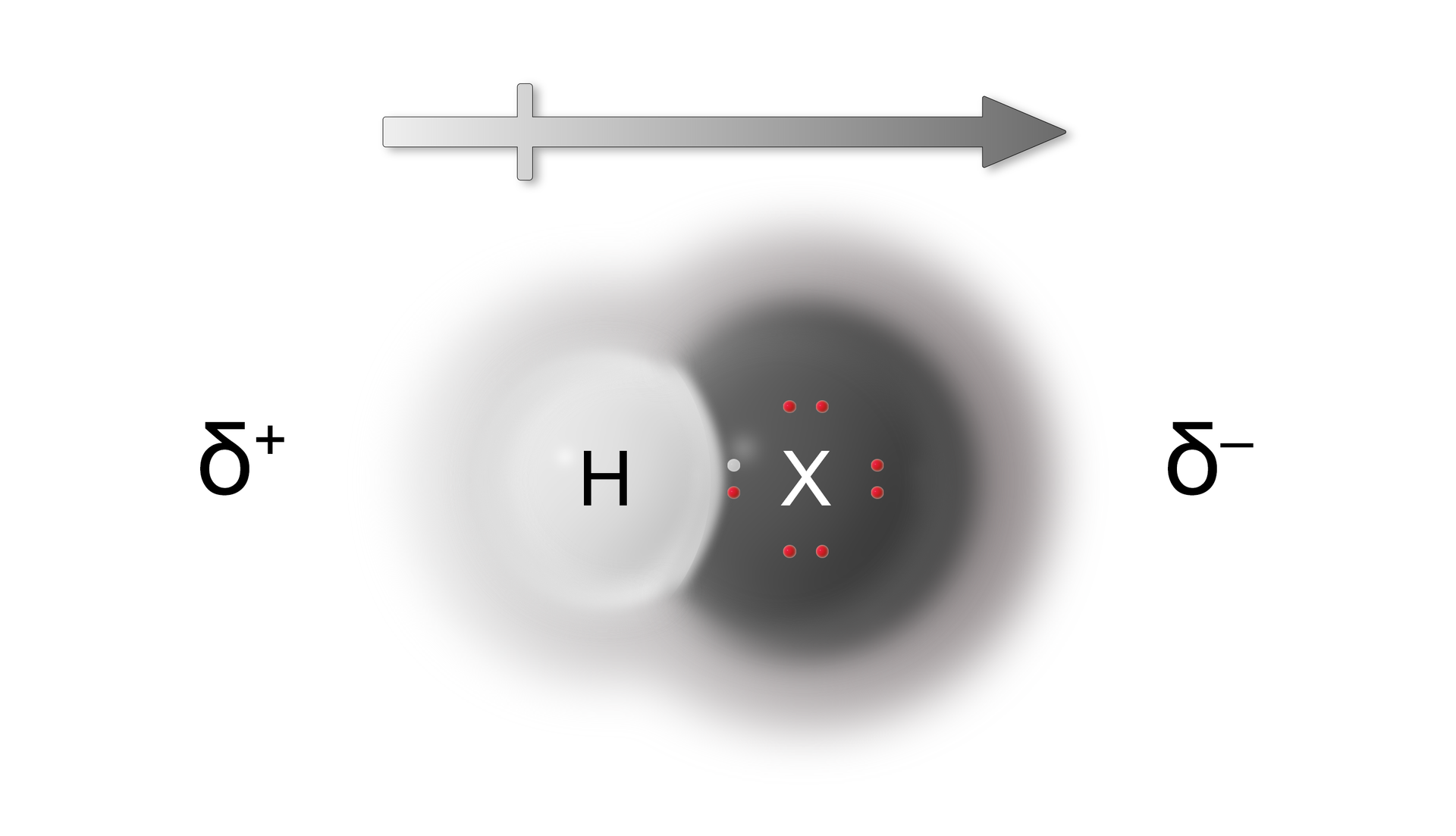Ilustracja przedstawiająca wzór ogólny cząsteczki fluorowcowodoru. Po lewej stronie znajduje się atom wodoru H symbolizowany przez małą, białą kulkę, obok której zaznaczono cząstkowy ładunek dodatni delta plus. Atom wodoru związany jest z atomem fluorowca X, który to reprezentuje duża, szara kulka. Wokół atomu X zaznaczono osiem elektronów, z których jeden to elektron tworzący wiązanie, pochodzący od atomu wodoru. Przy atomie X zaznaczono cząstkowy ładunek delta minus. Nad cząsteczką zaznaczono kierunek polaryzacji wiązania, który wyznacza strzałka skierowana od atomu wodoru do atomu fluorowca.