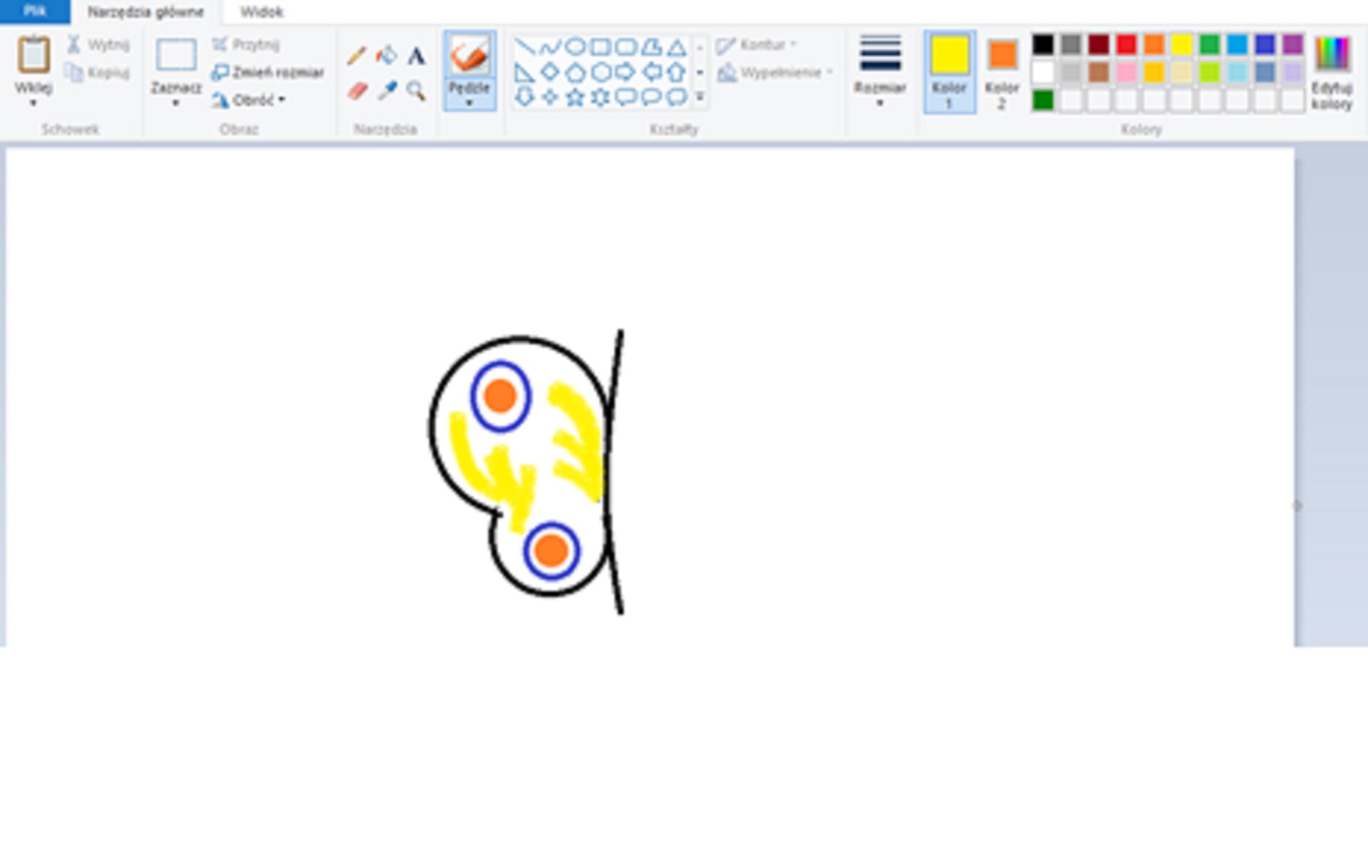 Zrzut okna programu Paint z ilustracją skrzydła motyla
