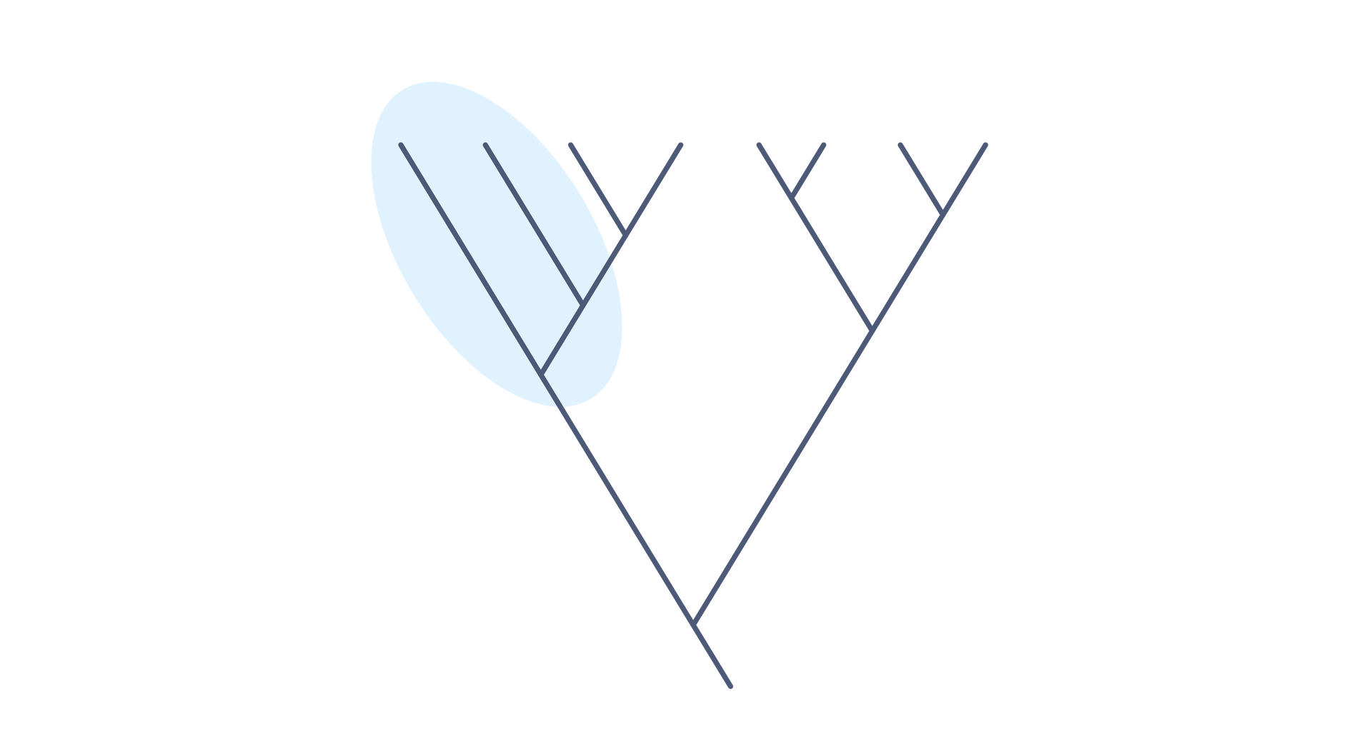 Ilustracja ilustruje takson parafiletyczny. Na drzewie filogenetycznym po lewej stronie w końcowym rozgałęzieniu na cztery linie zaznaczono dwie z nich. To grupa, która nie obejmuje wszystkich potomków ostatniego wspólnego przodka.