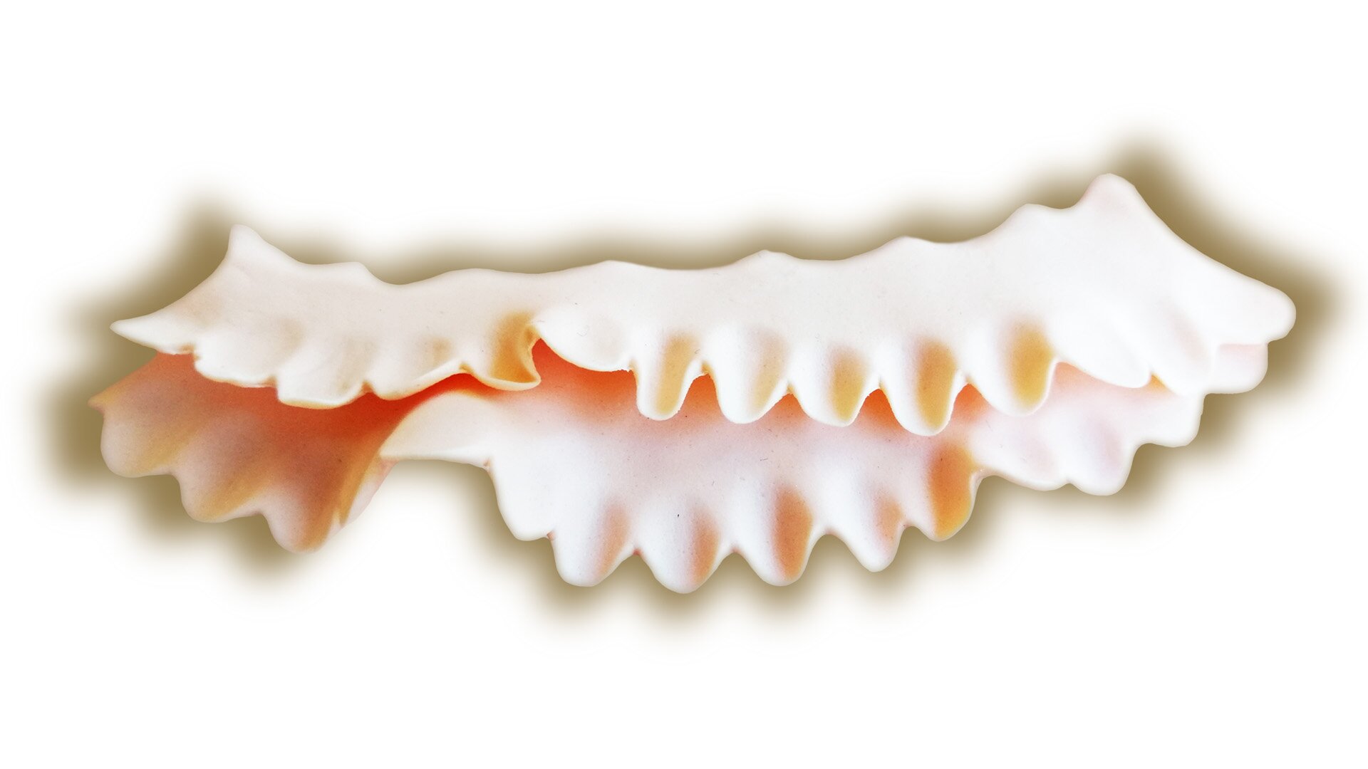 Zdjęcie przedstawia podwójną falbankę z masy cukrowej. Widoczne są dwa paski białej masy leżące jeden na drugim, lekko pofalowanej z jednej strony i mocno pofalowane z drugiej strony.