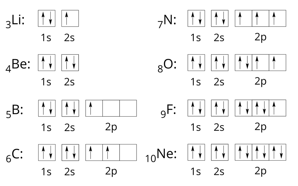Na ilustracji ukazano rozmieszczenie elektronów w poziomach orbitalnych dla pierwiastków drugiego okresu. Konfiguracja orbitalna atomu litu: indeks dolny trzy koniec indeksu L i dwukropek dwa kwadraty. W pierwszym znajdują się dwie strzałki: jedna skierowana w górę i jedna skierowana w dół, pod spodem zapis jeden s. W drugim znajduje się jedna strzałka skierowana w górę. Pod spodem zapis dwa s. Konfiguracja orbitalna atomu berylu: indeks dolny cztery koniec indeksu B e dwukropek dwa kwadraty, w których znajdują się po dwie strzałki: jedna skierowana w górę i jedna skierowana w dół. Pod pierwszym kwadratem znajduje się zapis jeden s, a pod drugim dwa s. Konfiguracja orbitalna atomu boru: indeks dolny pięć koniec indeksu B dwukropek pięć kwadratów. W pierwszym znajdują się dwie strzałki: jedna skierowana w górę i jedna skierowana w dół, pod spodem zapis jeden s. W drugim znajdują się dwie strzałki: jedna skierowana w górę i jedna skierowana w dół, pod spodem zapis dwa s. Trzy następne kwadraty są połączone ze sobą, a w pierwszym z nich znajduje się jedna strzałka skierowana w górę. Pod spodem zapis dwa p. Konfiguracja orbitalna atomu węgla: indeks dolny sześć koniec indeksu C dwukropek pięć kwadratów. W pierwszym znajdują się dwie strzałki: jedna skierowana w górę i jedna skierowana w dół, pod spodem zapis jeden s. W drugim znajdują się dwie strzałki: jedna skierowana w górę i jedna skierowana w dół, pod spodem zapis dwa s. Trzy następne kwadraty są połączone ze sobą, a w pierwszym i drugim znajduje się po jednej strzałce skierowanej w górę. Pod spodem zapis dwa p. Konfiguracja orbitalna atomu azotu: indeks dolny siedem koniec indeksu N dwukropek pięć kwadratów. W pierwszym znajdują się dwie strzałki: jedna skierowana w górę i jedna skierowana w dół, pod spodem zapis jeden s. W drugim znajdują się dwie strzałki: jedna skierowana w górę i jedna skierowana w dół, pod spodem zapis dwa s. Trzy następne kwadraty są połączone ze sobą, a w każdym z nich znajduje się po jednej strzałce skierowanej w górę. Pod spodem zapis dwa p. Konfiguracja orbitalna atomu tlenu: indeks dolny osiem koniec indeksu O dwukropek pięć kwadratów. W pierwszym znajdują się dwie strzałki: jedna skierowana w górę i jedna skierowana w dół, pod spodem zapis jeden s. W drugim znajdują się dwie strzałki: jedna skierowana w górę i jedna skierowana w dół, pod spodem zapis dwa s. Trzy następne kwadraty są połączone ze sobą, w pierwszym z nich znajdują się dwie strzałki: jedna skierowana w górę i jedna skierowana w dół, a w pozostałych kwadratach znajduje się po jednej strzałce skierowanej w górę. Pod spodem zapis dwa p. Konfiguracja orbitalna atomu fluoru: indeks dolny dziewięć koniec indeksu F dwukropek pięć kwadratów. W pierwszym znajdują się dwie strzałki: jedna skierowana w górę i jedna skierowana w dół, pod spodem zapis jeden s. W drugim znajdują się dwie strzałki: jedna skierowana w górę i jedna skierowana w dół, pod spodem zapis dwa s. Trzy następne kwadraty są połączone ze sobą, w pierwszym i drugim z nich znajdują się po dwie strzałki: jedna skierowana w górę i jedna skierowana w dół, a w trzecim kwadracie znajduje się jedna strzałka skierowana w górę. Pod spodem zapis dwa p. Konfiguracja orbitalna atomu neonu: indeks dolny dziesięć koniec indeksu N e dwukropek pięć kwadratów. W pierwszym znajdują się dwie strzałki: jedna skierowana w górę i jedna skierowana w dół, pod spodem zapis jeden s. W drugim znajdują się dwie strzałki: jedna skierowana w górę i jedna skierowana w dół, pod spodem zapis dwa s. Trzy następne kwadraty są połączone ze sobą, a w każdym z nich znajdują się po dwie strzałki: jedna skierowana w górę i jedna skierowana w dół. Pod spodem zapis dwa p. 