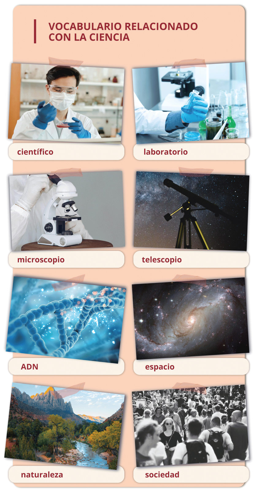 Nagłówek grafiki: VOCABULARIO RELACIONADO CON LA CIENCIA. Poniżej znajdują się grafiki z podpisami. Mężczyzna w maseczce, fartuchu  i rękawiczkach trzymający szklane naczynie z cieczą - científico, stół, zastawiony różnymi naczyniami, mikroskop, ręka w rękawiczce trzymająca jedno z naczyń - laboratorio, osoba patrząca w mikroskop - microscopio, teleskop na tle gwieździstego nieba - telescopio, łańcuch DNA - ADN, kosmos - espacio, krajobraz naturalny z górami, lasem i rzeką - naturaleza, tłum ludzi - sociedad.