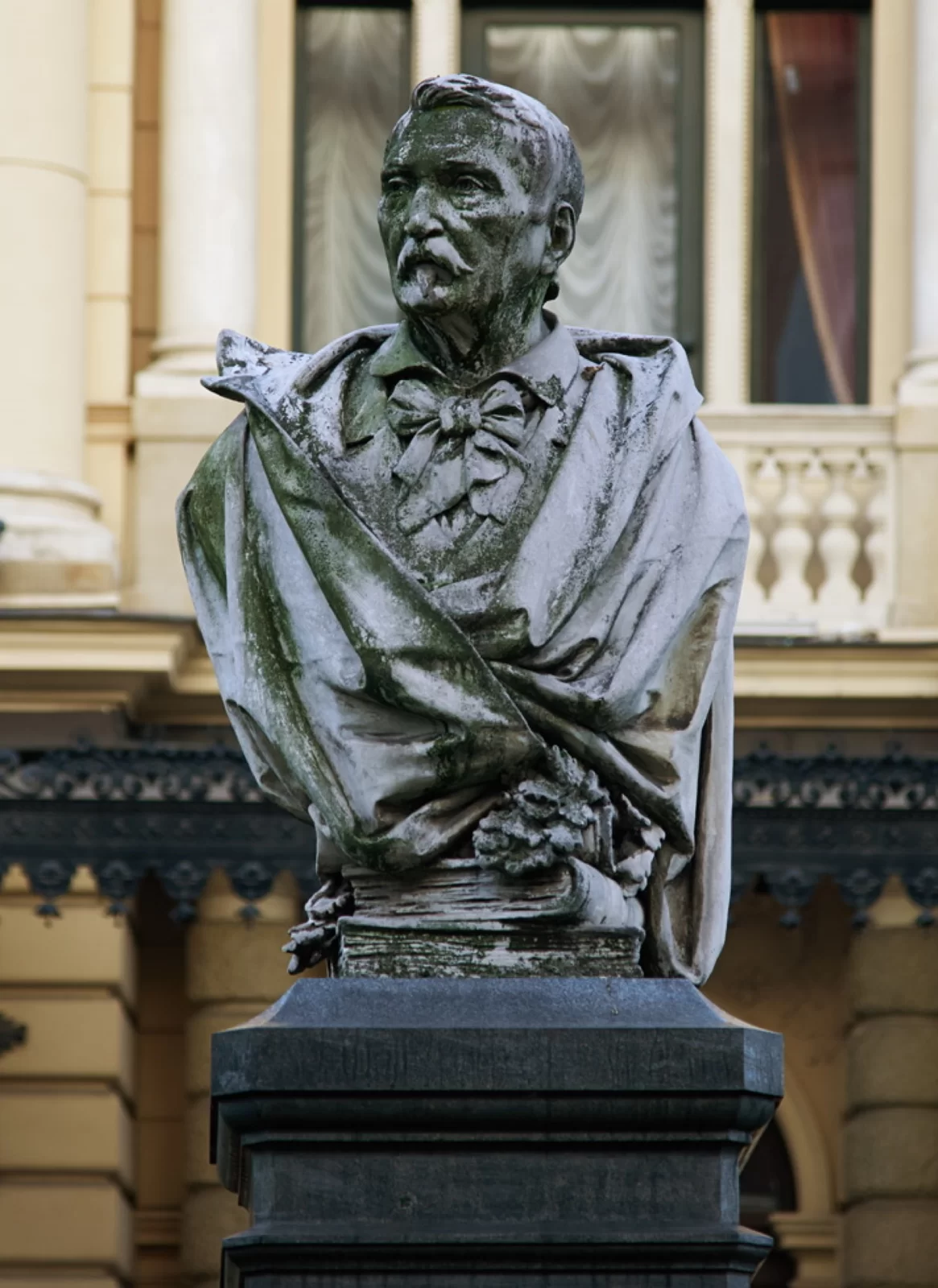Zdjęcie przedstawia popiersie w ciemnawych kolorach mężczyzny w podeszłym wieku, którego twarz zdobi bujny wąs. Pod jego szyją znajduje się wielka mucha, która dodaje mu szyku.