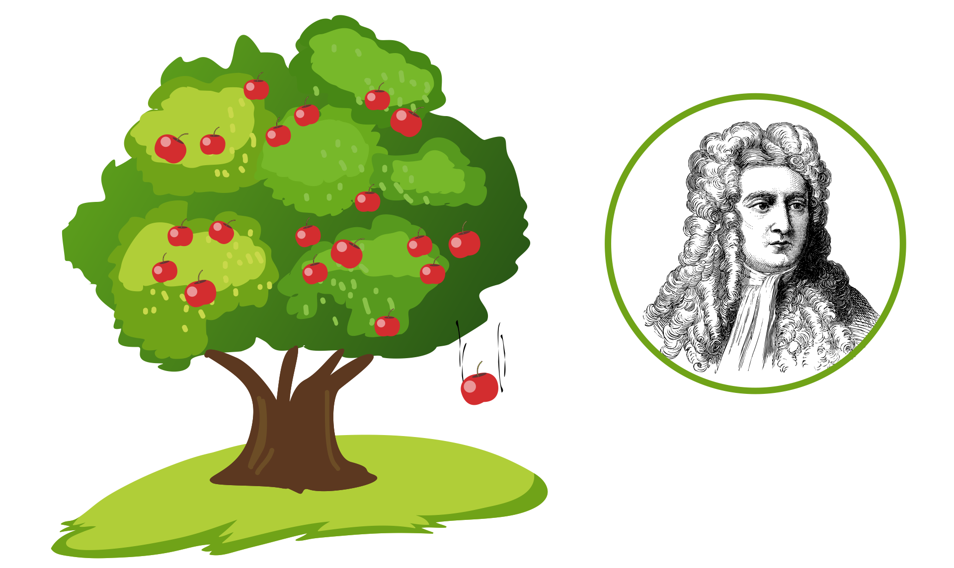 Rysunek drzewa z rozłożystą, zieloną koroną i czerwonymi jabłkami. Jedno z jabłek jest trakcie spadania. Obok w kole czarno‑biały rysunek mężczyzny w długiej peruce.