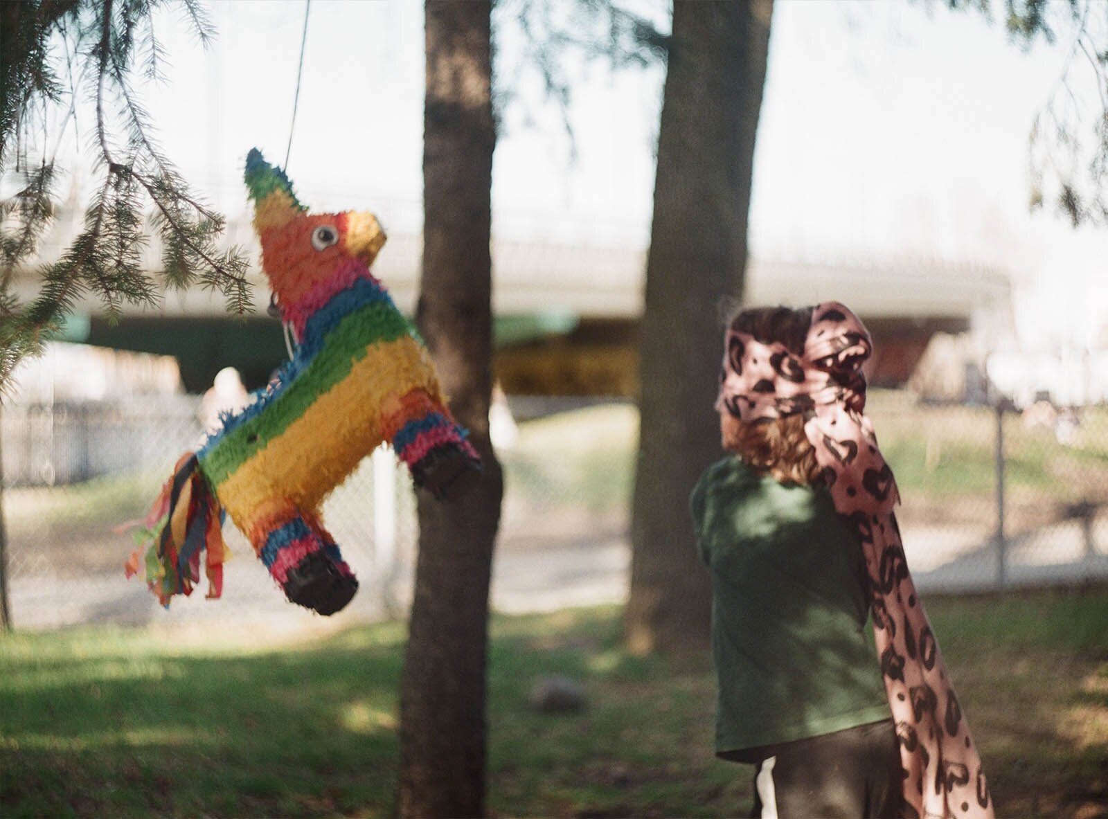 Zdjęcie przedstawia pudełko w kształcie lamy obklejone kolorowymi bibułami zwisające z drzewa. 