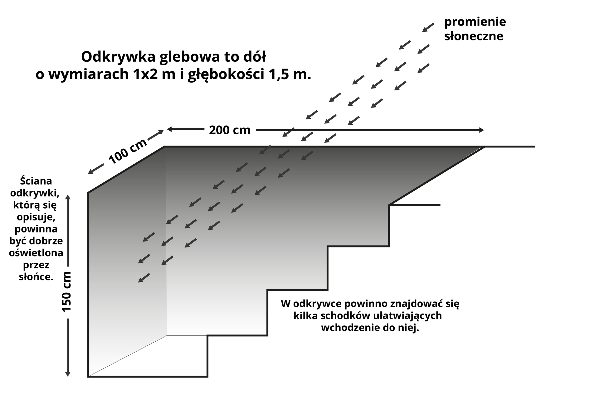 Ilustracja przedstawiająca schemat odkrywki glebowej. Przedstawia schematyczny wykop o pionowych ścianach, po prawej stronie uproszczony wzór schodów z dopiskiem „w odkrywce powinno znajdować się kilka schodków ułatwiających wchodzenie do niej”. Podano wymiary – dwieście centymetrów szerokości, 100 centymetrów długości, 150 głębokości (przy głębokości dopisek: ściana odkrywki, którą się opisuje, powinna być dobrze oświetlona przez słońce). Z góry naniesiono ukośnie padające promienie słoneczne. Nad rysunkiem napis: odkrywka glebowa to dół o wymiarach 1 na 2 metry i głębokości 1,5 metra.