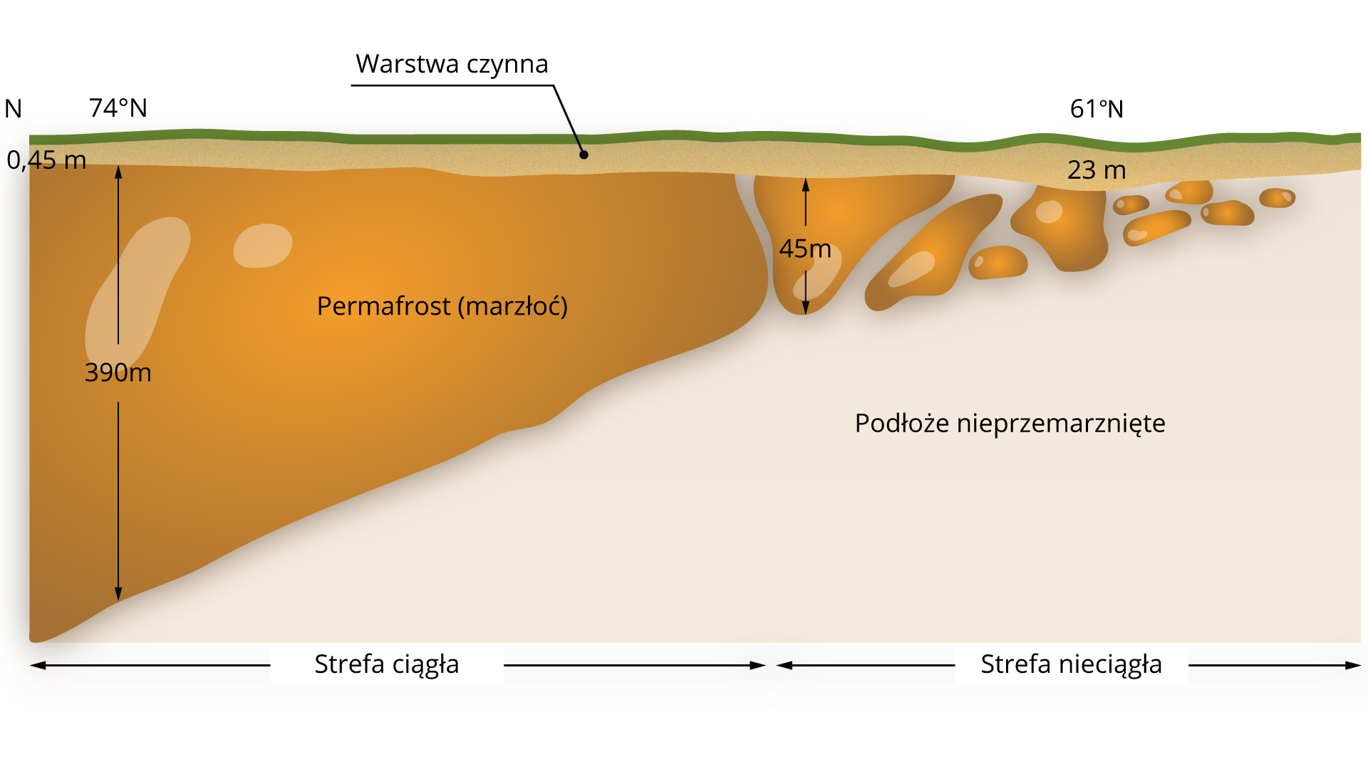 Schemat przedstawia profil południowy przez zmarzlinę. Na ilustracji znajdują się warstwy - od góry cienka zielona warstwa, następnie nieco grubsza jasnobrązowa o grubości 23 metrów, to warstwa czynna. Pod nimi, po lewej stronie ilustracji, zaznaczono warstwę permafrostu (marzłoci). Na szerokości geograficznej 74 ∘ N , ma ona grubość 390 metrów. W kierunku prawej strony ilustracji jej grubość się zmniejsza. Permafrost ma postać jednolitej warstwy. To strefa ciągła. Strefa ciągła przechodzi w nieciągłą. Na początku warstwa ma grubość 45 metrów, w kierunku szerokości geograficznej o współrzędnych 61 ∘ N jest coraz cieńsza. Strefa nieciągła jest poprzerywana, niejednolita. Pod strefą ciągłą i nieciągłą leży podłoże nieprzemarznięte.