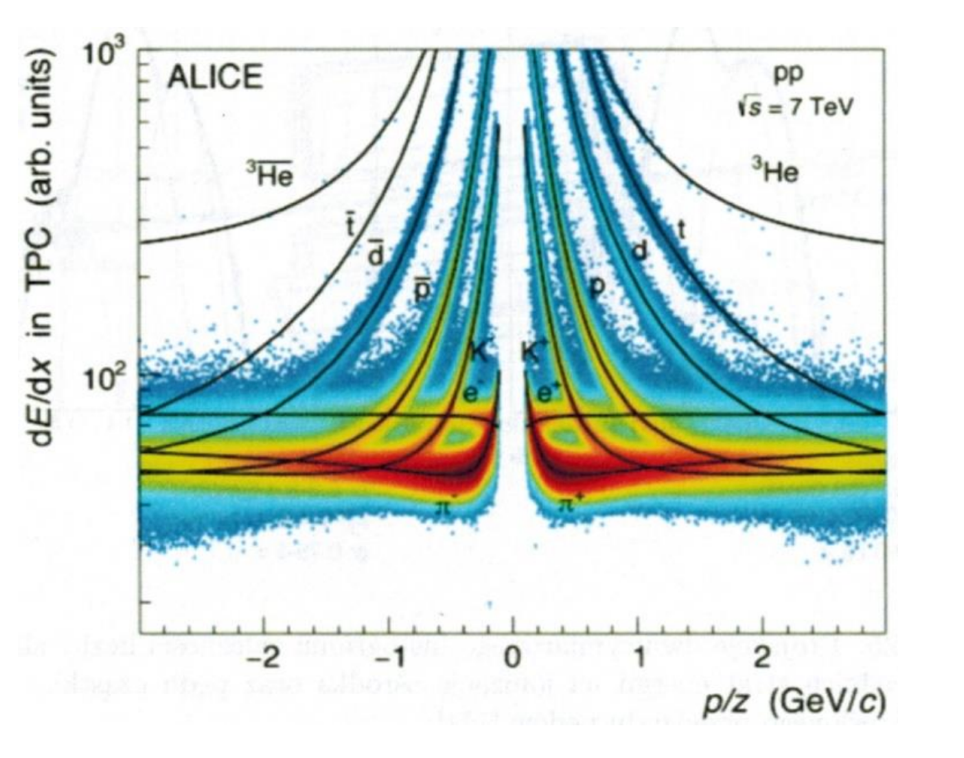 Rys. 4. Na rysunku jest wykres, który prezentuje zależność strat jonizacyjnych od pędu cząstek rejestrowanych w detektorze ALICE w laboratorium CERN. Jest on symetryczny względem pionowej linii dzielącej wykres na połowy. Wykres wypełniają punkty o różnych barwach ułożone w pasma. Od góry pasma są wąskie, skierowane w dół i składają się z niebieskich punktów. Pasma z lewej strony rysunku opadają łukami w lewo i dół, a na dole łączą się w jedno grubsze, poziome pasmo o barwach żółtej i czerwonej. Pasma z prawej strony rysunku opadają łukami w prawo i dół, a na dole również łączą się w jedno grubsze, poziome pasmo o barwach żółtej i czerwonej. Kolory oznaczają gęstość punktów na wykresie, niebieski małą a czerwony dużą. 
