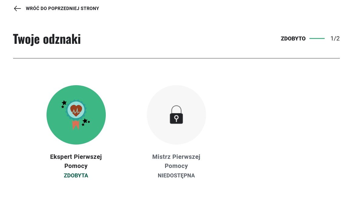 Przykładowe odznaki