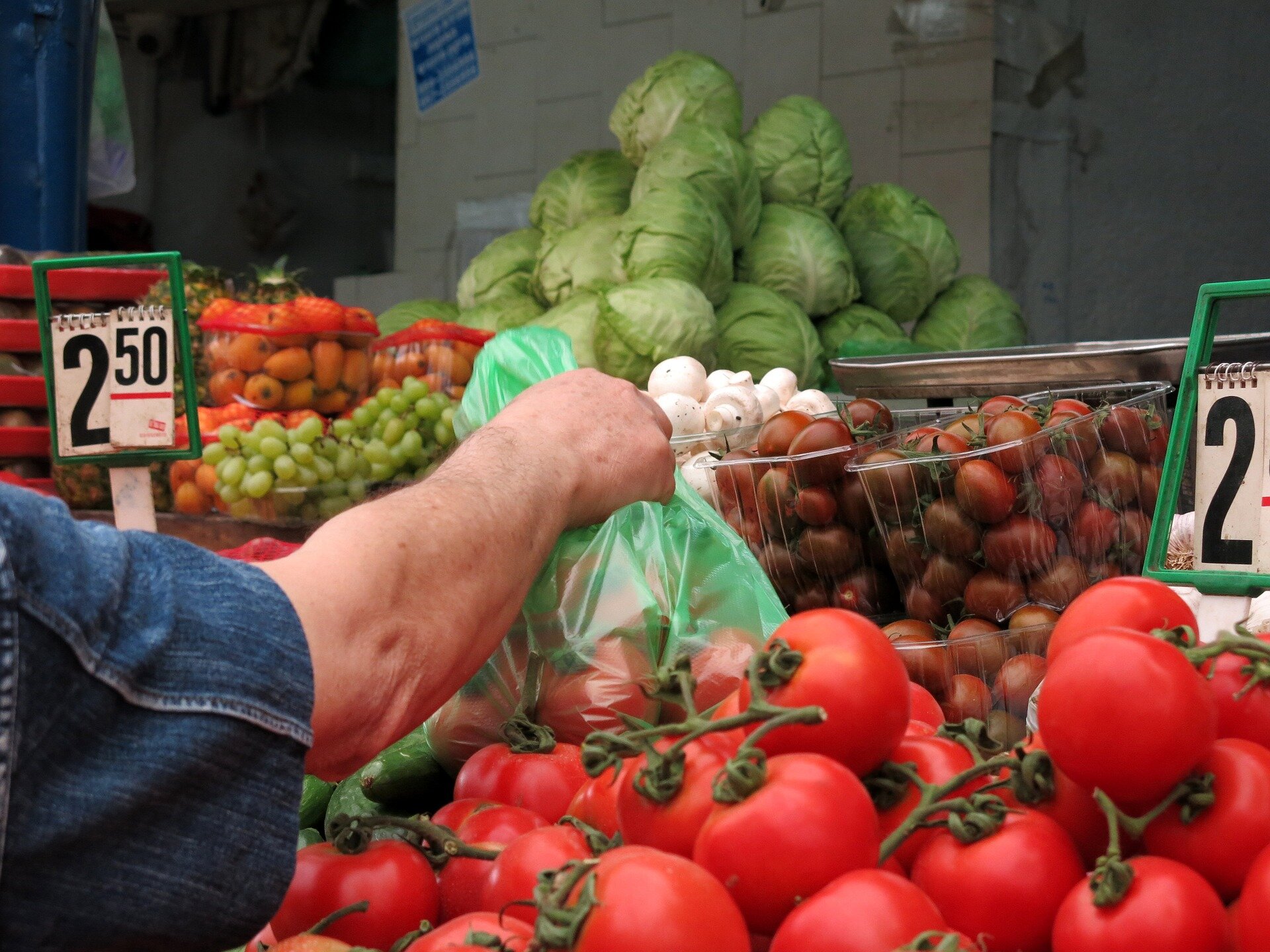 Na zdjęciu znajdują się warzywa i owoce: kapusta, pomidory, pomidorki koktajlowe, winogrona oraz ręka osoby, która trzyma plastikową torebkę.