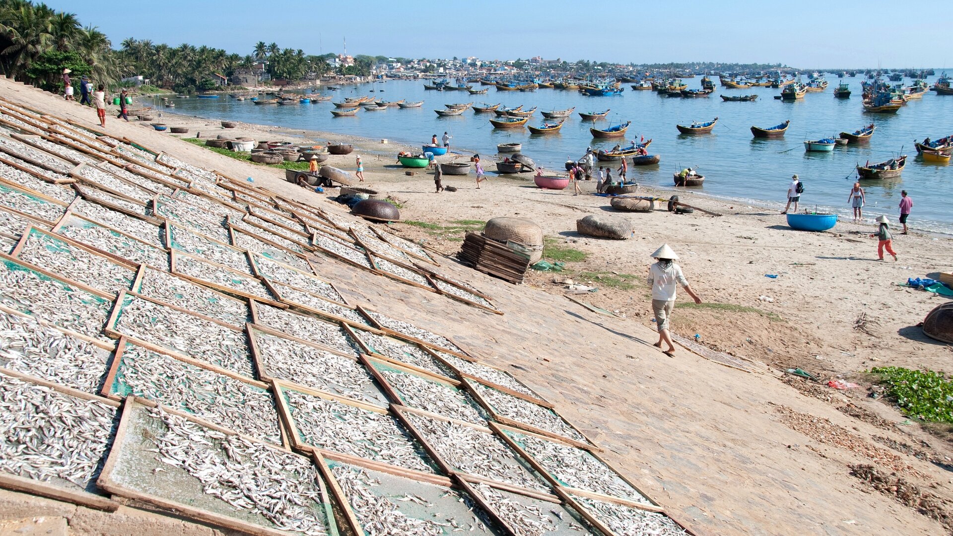 Fotografia przedstawiająca hodowlę ryb nad rzeką Mekong – najdłuższej rzece na Półwyspie Indochińskim. Na pierwszym planie na skarpie rozłożone drewniane ramy, na których suszą się ryby. W tle – nabrzeże z zacumowanymi łodziami.
