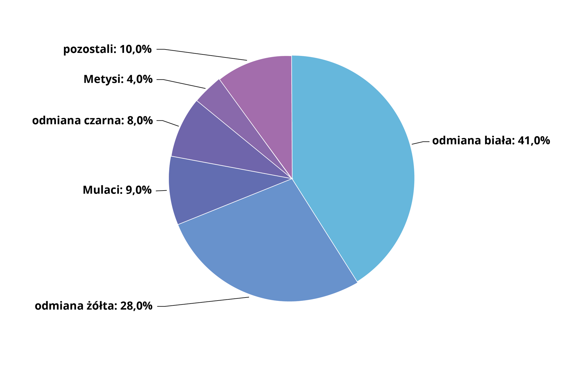 Wykres kołowy przedstawia udział odmian człowieka. Odmiana biała to 41%. Odmiana żółta to 28%. Mulaci to 9%. Odmiana czarna to 8%. Metysi to 4%. Pozostali to 10%.