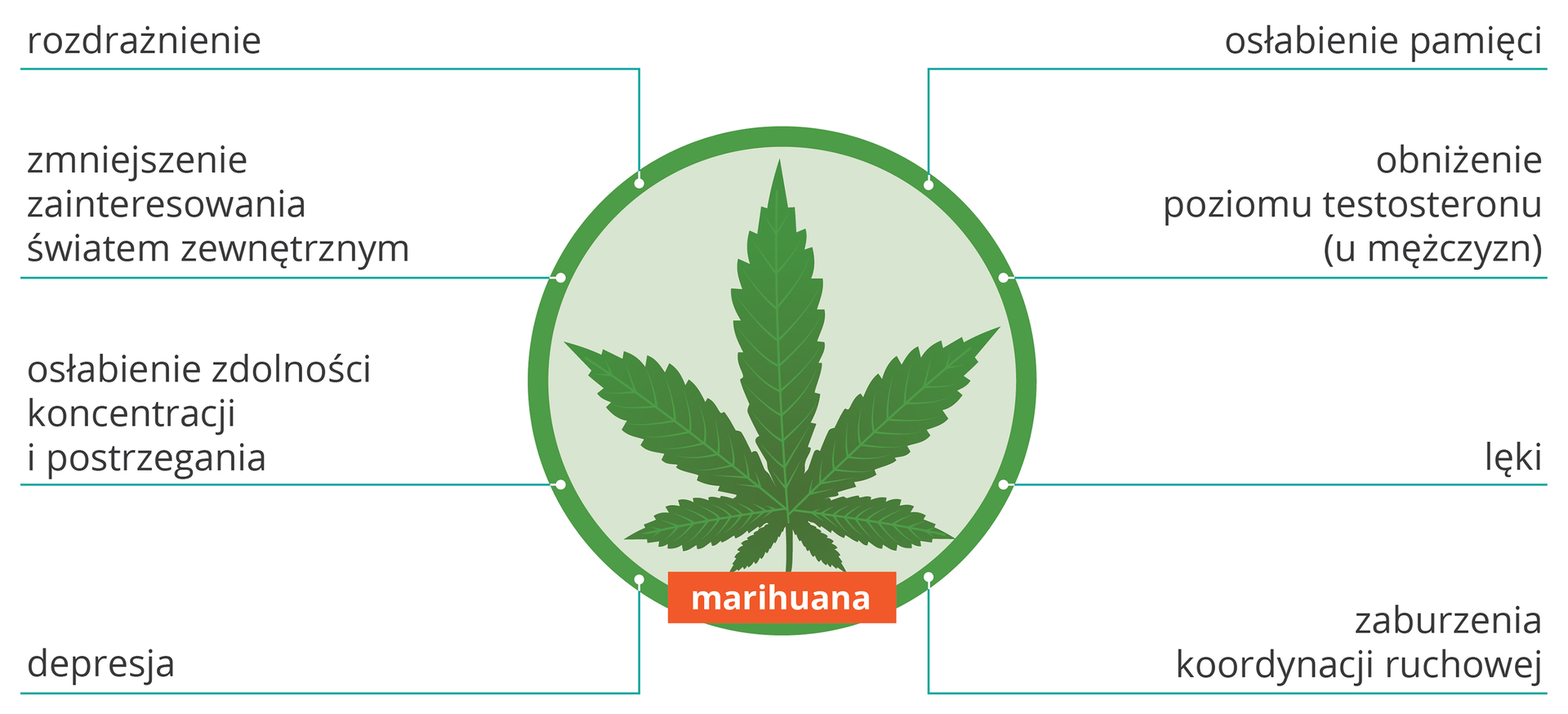 Ilustracja przedstawia okrąg z zielonym liściem konopi i różne skutki stosowania marihuany: zmniejszenie zainteresowania światem zewnętrznym, rozdrażnienie, osłabienie zdolności koncentracji i postrzegania, zaburzenia koordynacji ruchowej, osłabienie pamięci, obniżenie poziomu testosteronu (u mężczyzn), lęki, depresja. W środku listek konopi.