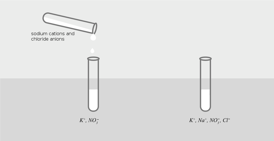 Ilustracja przedstawia rysunek dwóch faz jednego eksperymentu. Po lewej stronie znajduje się dwie probówki z roztworami. Dolna, ustawiona pionowo podpisana jest jonami K plus i NO3 minus. Górna, przechylona, z której zawartość przelewana jest do dolnej nie jest podpisana, co sugeruje taką samą zawartość, jak na ilustracji powyżej. Po prawej stronie rysunku widoczna jest pojedyncza, pełna próbówka z opisem zawartości: jony Ka plus, eN a plus, eN O 3 minus i Ce el minus.