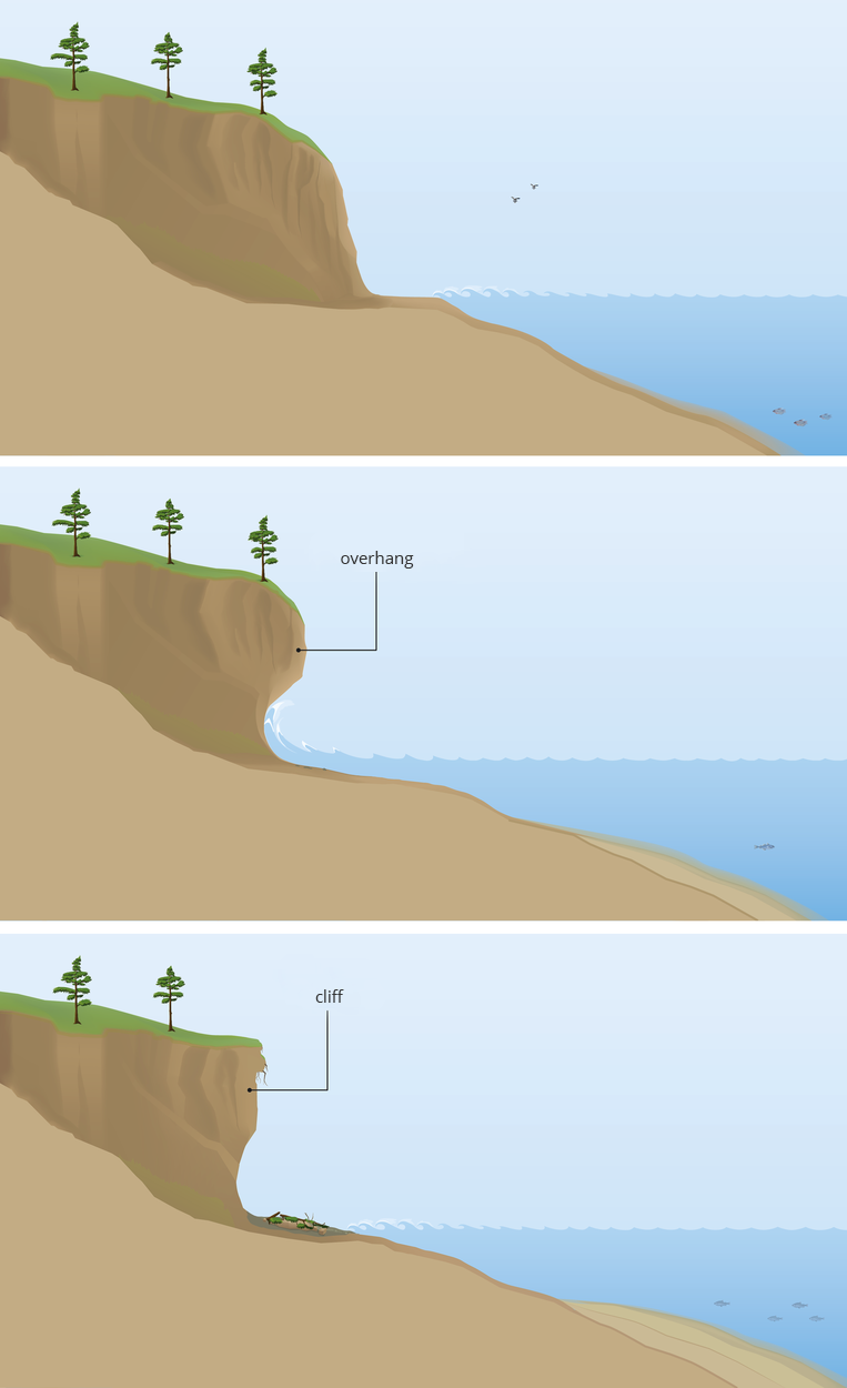 Ilustracje prezentujące kolejne etapy powstawania klifu. Pierwsza ilustracja ukazuje wysoki brzeg morski stykający się z morzem. Druga ilustracja ukazuje podmywanie przez fale morskie wysokiego brzegu, w wyniku czego powstaje nawis skalny (overhang). Trzecia ilustracja ukazuje klif (cliff) powstały na skutek upadku nawisu skalnego. U podnóża klifu tworzy się plaża. 