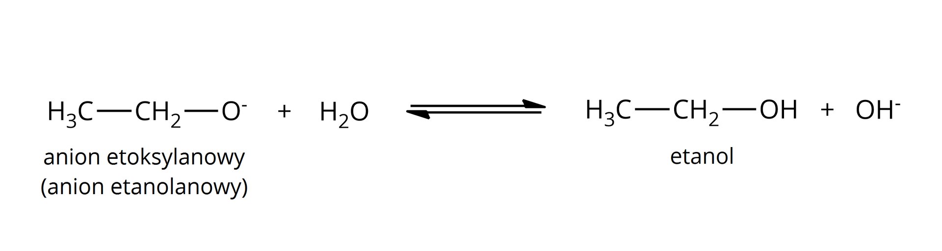 Ilustracja przedstawia równanie reakcji hydrolizy zasadowej aniony etoksylanowego (anionu etanolanowego), w której powstaje etanol. Równanie reakcji: H3C—CH2—O-+H2O⇄H3C—CH2—OH+OH-.