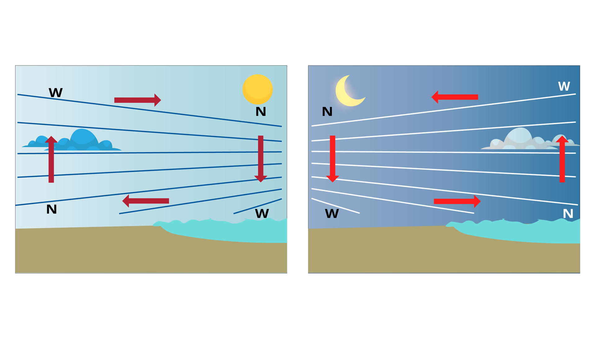 Dwie ilustracje obok siebie. Na obu po prawej stronie znajduje się narysowany symbolicznie brzeg morski, a po lewej ląd. Lewa ilustracja ukazuje kierunek ruchu powietrza w ciągu dnia. Nad lądem znajduje się litera N, a wysoko nad nią litera W. Od litery N do W biegnie strzałka. Następnie od litery W prowadzi strzałka do litery W znajdującej się wysoko nad morzem po prawej stronie ilustracji. Od tego symbolu opada pionowo strzałka do litery W umieszczonej nad samą wodą. Kolejna, czwarta strzałka, biegnie od tej litery do litery N umieszczonej nisko nad lądem po lewej stronie. Powstaje zamknięty cykl. Druga ilustracja przedstawia ruch powietrza w nocy. Nad lądem znajduje się litera W, a wysoko nad nią litera N. Od litery N do W biegnie w dół strzałka. Następnie od litery W prowadzi strzałka do litery N znajdującej się nisko nad morzem po prawej stronie ilustracji. Od tego symbolu wznosi się strzałka do litery W umieszczonej wysoko nad wodą. Kolejna, czwarta strzałka, biegnie od tej litery do litery N umieszczonej wysoko nad lądem po lewej stronie. Powstaje zamknięty cykl. 