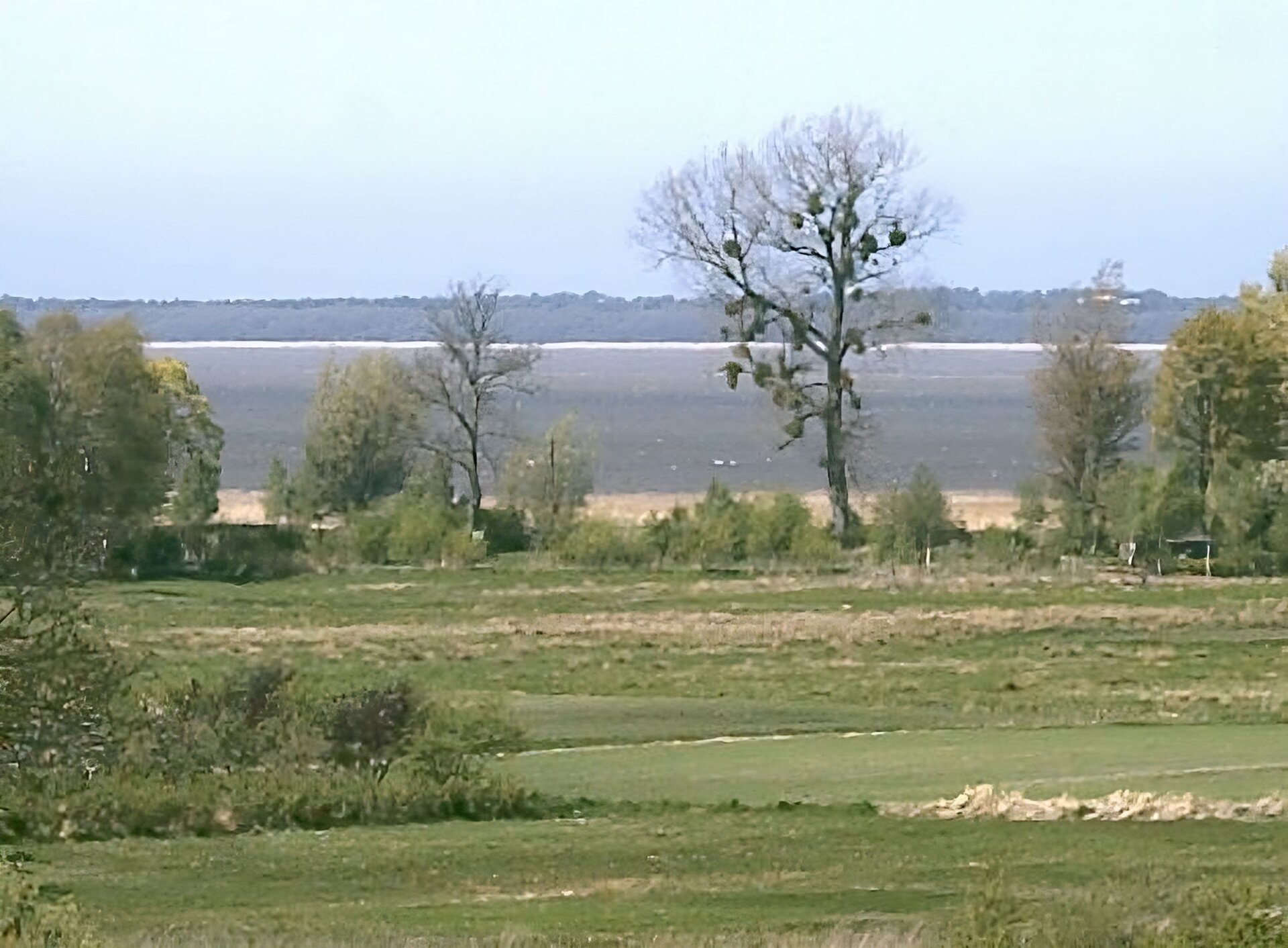 Kliknij, aby powiększyć. Zdjęcie przedstawia na pierwszym planie polanę zakończoną szeregiem drzew i krzewów, na drugim widać jezioro i jego drugi brzeg w oddali..