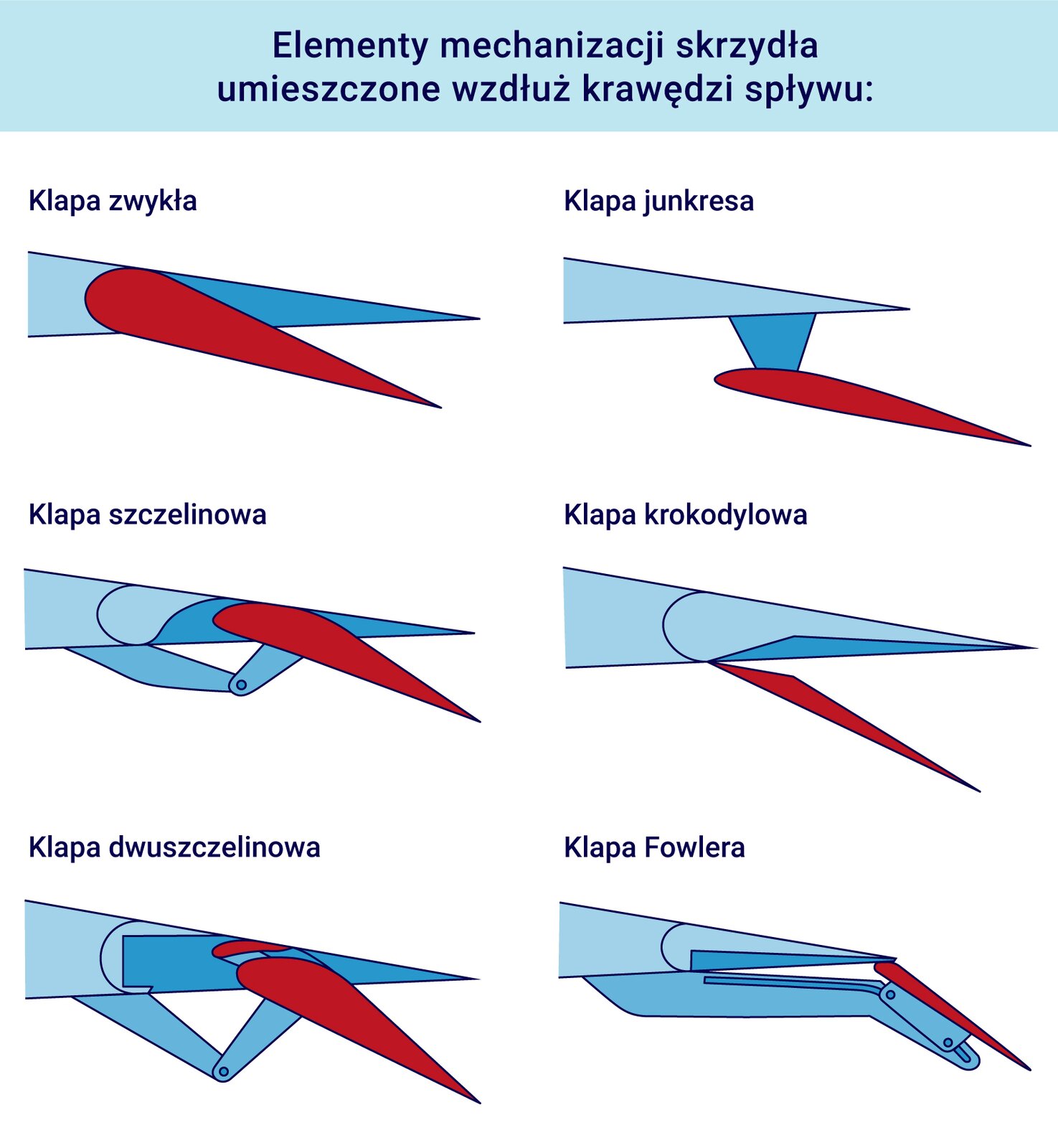 Ilustracja przedstawia elementy mechanizacji skrzydła umieszczone wzdłuż krawędzi spływu, do których należą klapa zwykła, klapa junkresa, klapa szczelinowa, klapa krokodylowa, klapa dwuszczelinowa, klapa Fowlera. Klapa zwykła składa się z dwóch elementów. Pierwszy z nich w przekroju ma kształt trójkąta równoramiennego o długich ramionach i podstawie znajdującej się po lewej stronie, zaś wierzchołek utworzony przez ramiona zlokalizowany jest po prawej. Do niego przymocowany jest element ruchomy o kształcie migdałowatym, którego zaokrąglony koniec zamocowany jest do trójkątnego przekroju, zaś ostry znajduje się po prawej stronie. Klapa junkresa składa się z trzech elementów. Pierwszy z nich w przekroju ma kształt trójkąta równoramiennego o długich ramionach i najkrótszej podstawie znajdującej się po lewej stronie, zaś wierzchołek utworzony przez ramiona zlokalizowany jest po prawej. Do niego przymocowana jest w około dwóch trzecich długości odchodząca do dołu część o przekroju trapezu, która podtrzymuje ruchomy element o kształcie migdałowatym odchodzący w prawą stronę po skosie dół, którego zaokrąglony koniec zamocowany jest do części trapezowatej, zaś ostry znajduje się po prawej stronie u dołu rysunku. Klapa szczelinowa składa się z kilku elementów. Pierwszy z nich w przekroju ma kształt trójkąta równoramiennego o długich ramionach i podstawie znajdującej się po lewej stronie, zaś wierzchołek utworzony przez ramiona zlokalizowany jest po prawej. U dołu zamocowane są dwa elementy o opływowym kształcie połączone w połowie długości przekroju trójkątnego i tworzące kąt rozwarty. Przypominają one dźwignię. Ostatni ruchomy element o migdałowatym kształcie łączy się z jedną z uprzednio opisanych części oraz częścią o przekroju trójkątnym. Zaokrąglony koniec migdałowatego elementu jest nieco spłaszczony, zaś ostry odchodzi w prawą stronę po skosie w dół. Klapa krokodylowa składa się z kilku elementów. Pierwszy z nich w przekroju ma kształt trójkąta równoramiennego o długich ramionach i podstawie znajdującej się po lewej stronie, zaś wierzchołku utworzonym przez ramiona - po prawej. Element ruchomy ma przekrój trójkąta rozwartego i zamocowany jest jednym z wierzchołków w jednej trzeciej długości ramienia dolnego od podstawy. Klapa dwuszczelinowa składa się z kilku elementów. Pierwszy z nich w przekroju ma kształt trójkąta równoramiennego o długich ramionach i podstawie znajdującej się po lewej stronie, zaś wierzchołek utworzony przez ramiona zlokalizowany jest po prawej. U dołu zamocowane są dwa elementy o opływowym kształcie połączone w połowie długości przekroju trójkątnego i tworzące kąt rozwarty. Przypominają one dźwignię. Klapa posiada dwa ruchome elementy. Pierwszy o migdałowatym kształcie z wywiniętym ku górze ostrym końcem jest nieduży i znajduje się tuż za zaokrąglonym końcem drugiego elementu o migdałowatym kształcie łączącym się z jedną ze znajdujących się po prawej stronie części przypominających dźwignię i przekrojem trójkątnym. Koniec zaokrąglony migdałowatego elementu jest nieco spłaszczony, zaś ostry odchodzi w prawą stronę po skosie w dół. Klapa Fowlera jest to rodzaj klapy wysklepiającej, która wysuwa się do tył o głębokość swej cięciwy przy równoczesnym odchyleniu pod pewnym kątem. Na rysunku przekrój klapy. Na górze część w kształcie trójkąta równoramiennego o długich ramionach, pomiędzy którymi znajduje się wierzchołek o najostrzejszym kącie znajdującym się po prawej stronie na rysunku. Przy wspomnianej części zamocowany element ruchomy klapy mający migdałowaty kształt, zaokrąglona część przylega do wierzchołka i łączy się z dolną częścią, do której jest przytwierdzony i która również wykazuje ruchomość. Z kolei ostra część skierowana po skosie w dół tworzy z trójkątnym elementem kąt rozwarty. Element, w którym osadzona jest część o migdałowatym kształcie, ma nieco bardziej opływowy kształt i łączy się po lewej stronie z elementem trójkątnym.