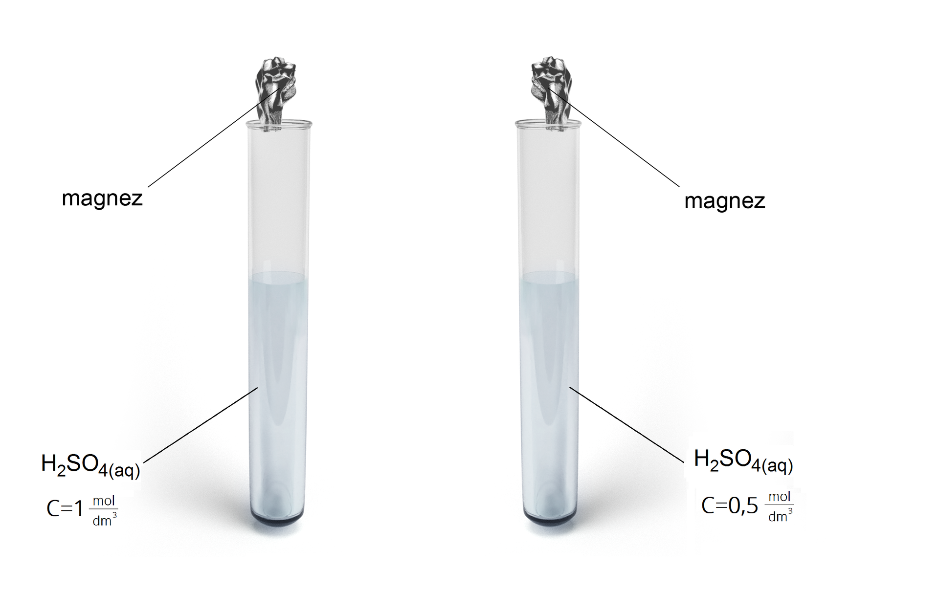 Schemat doświadczenia. Dwie probówki wypełnione w dwóch trzecich objętości wodnym roztworem kwasu siarkowego (VI). Pierwsza z nich zawiera roztwór o stężeniu 1 mol na decymetr sześcienny, zaś druga pół mol na decymetr sześcienny. Nad probówkami umieszczone są wiórki magnezu, które zostaną dodane do probówek w trakcie doświadczenia. 